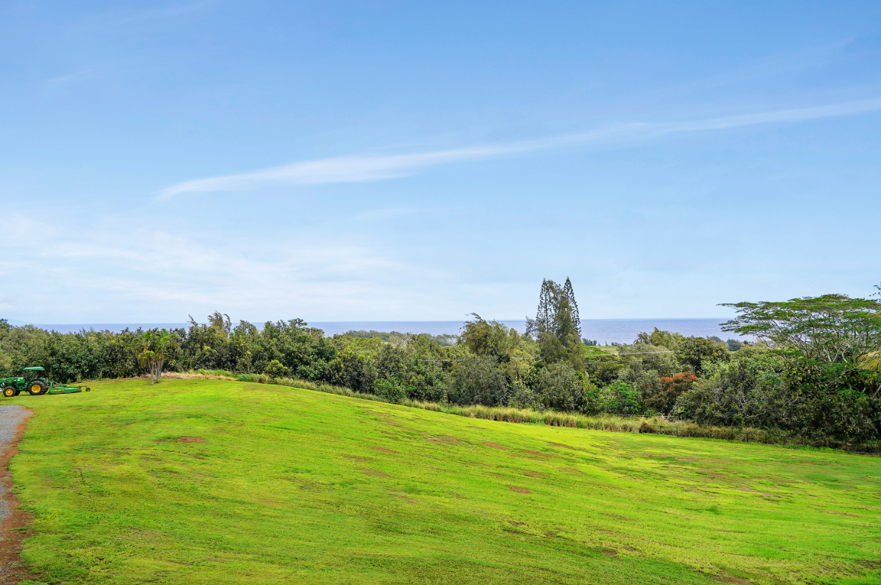 52-4602 Akoni Pule Hwy D Property Photo 29