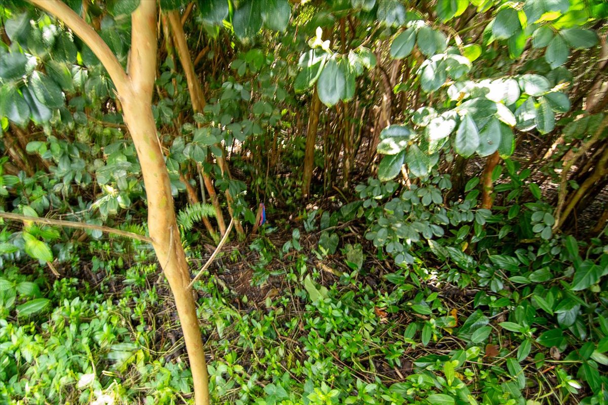 3rd Ave Property Photo 10