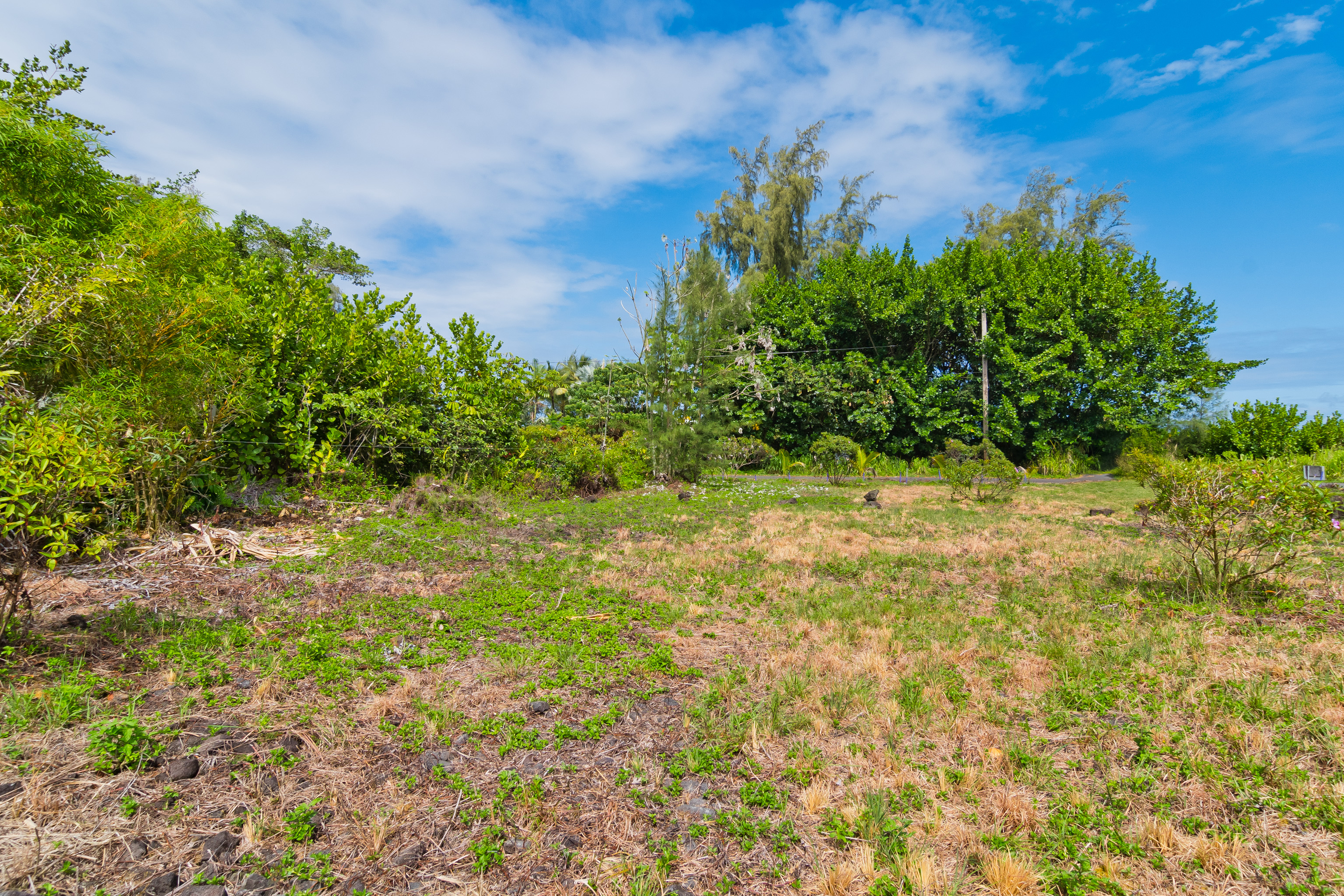 Paradise Ala Kai Property Photo 6