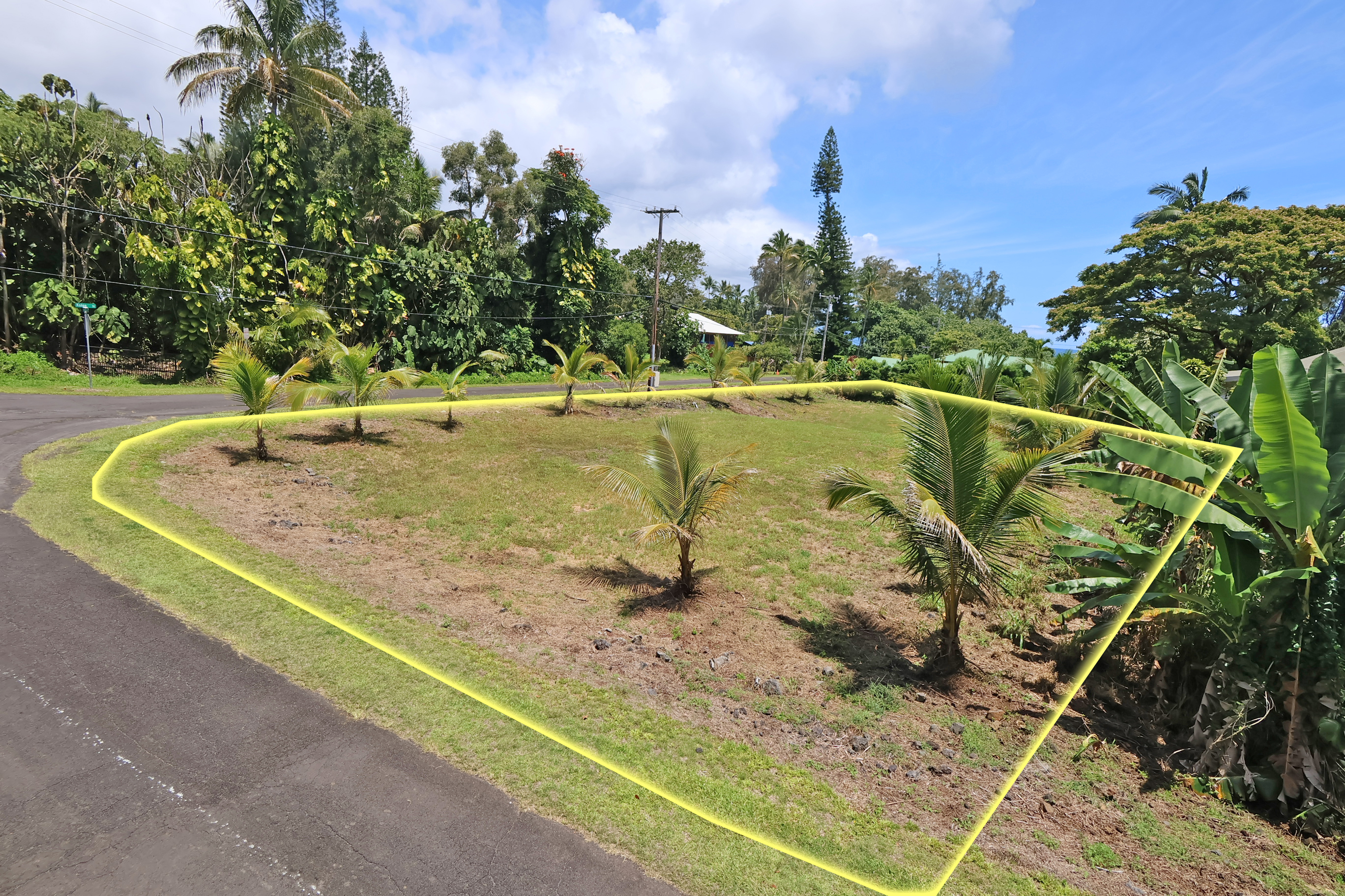 Nene St Property Photo 9