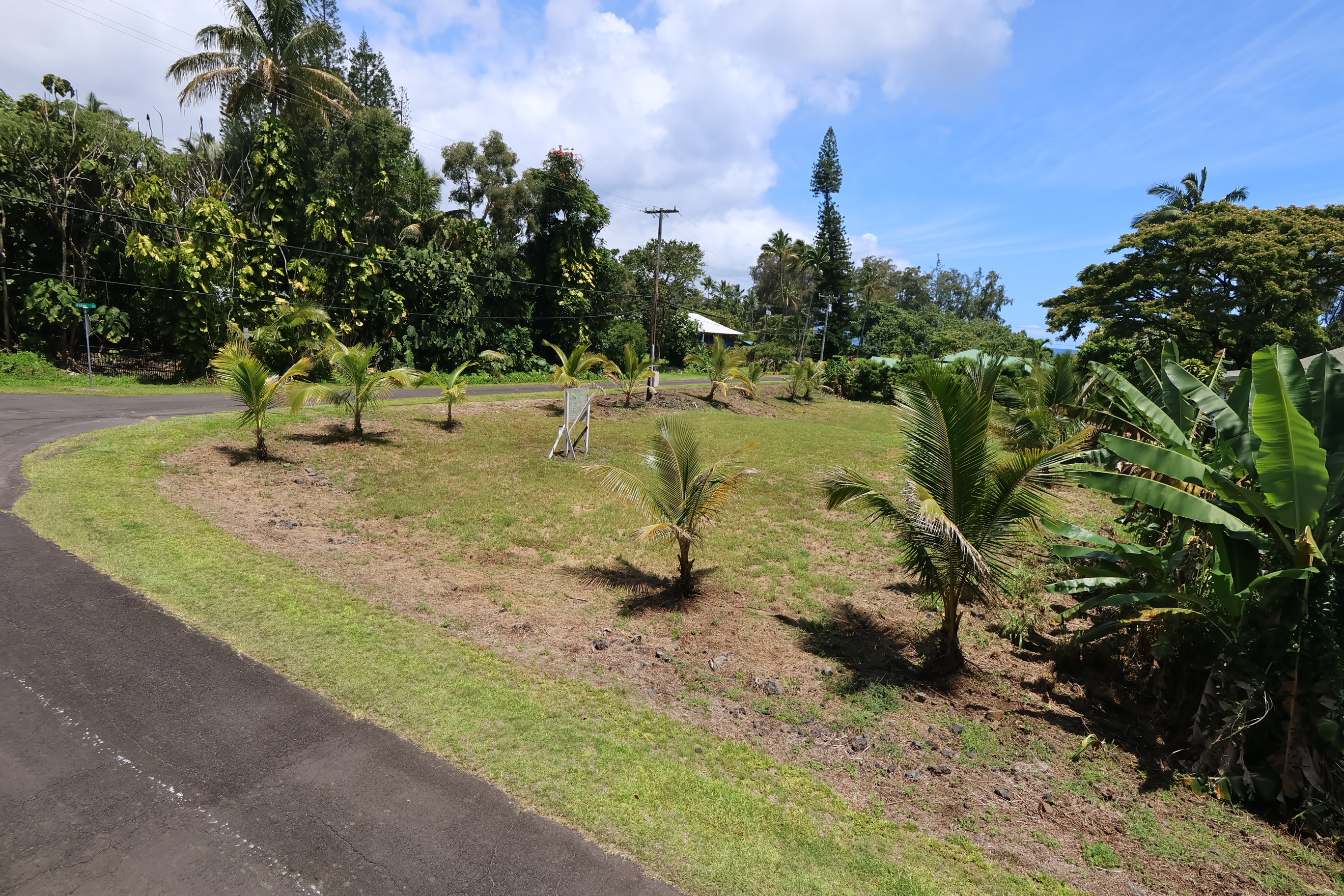 Nene St Property Photo 10