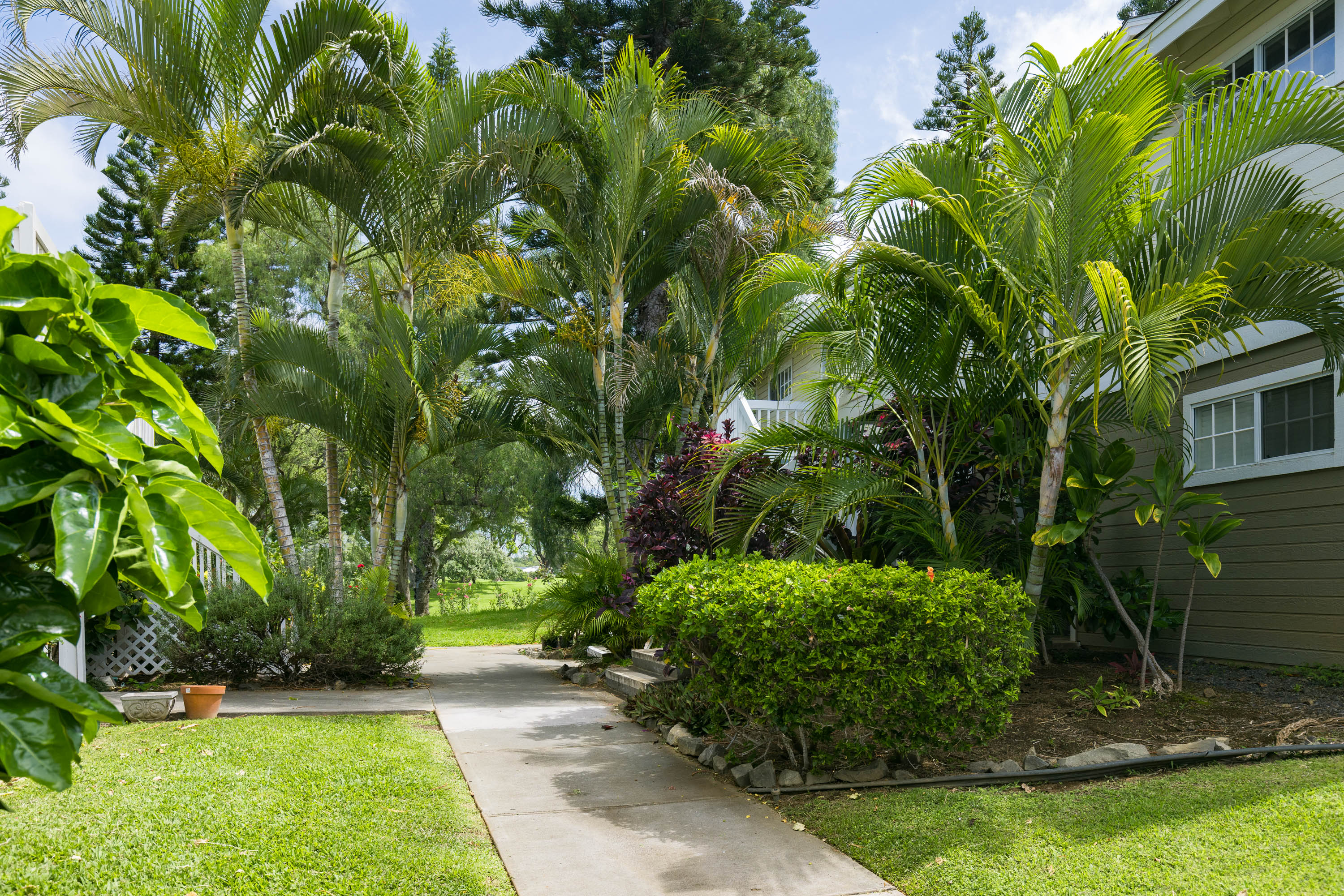 68-3883 Lua Kula St 306 Property Photo 18