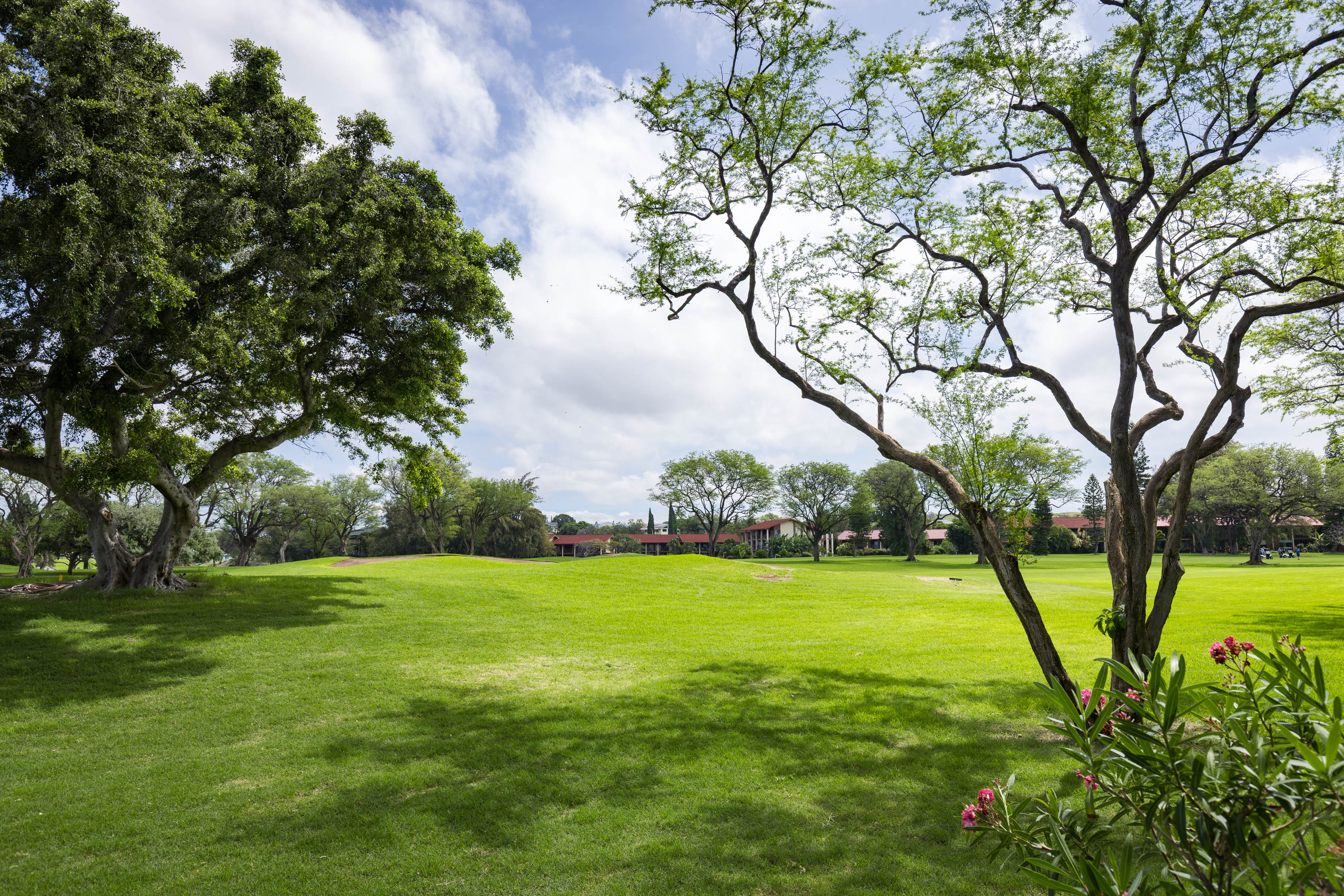 68-3883 Lua Kula St 306 Property Photo 23