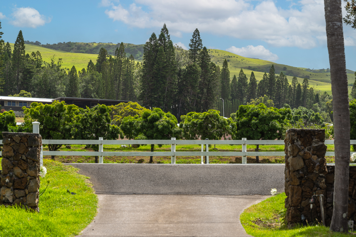 66-1685 Kohala Mountain Rd Property Photo 3