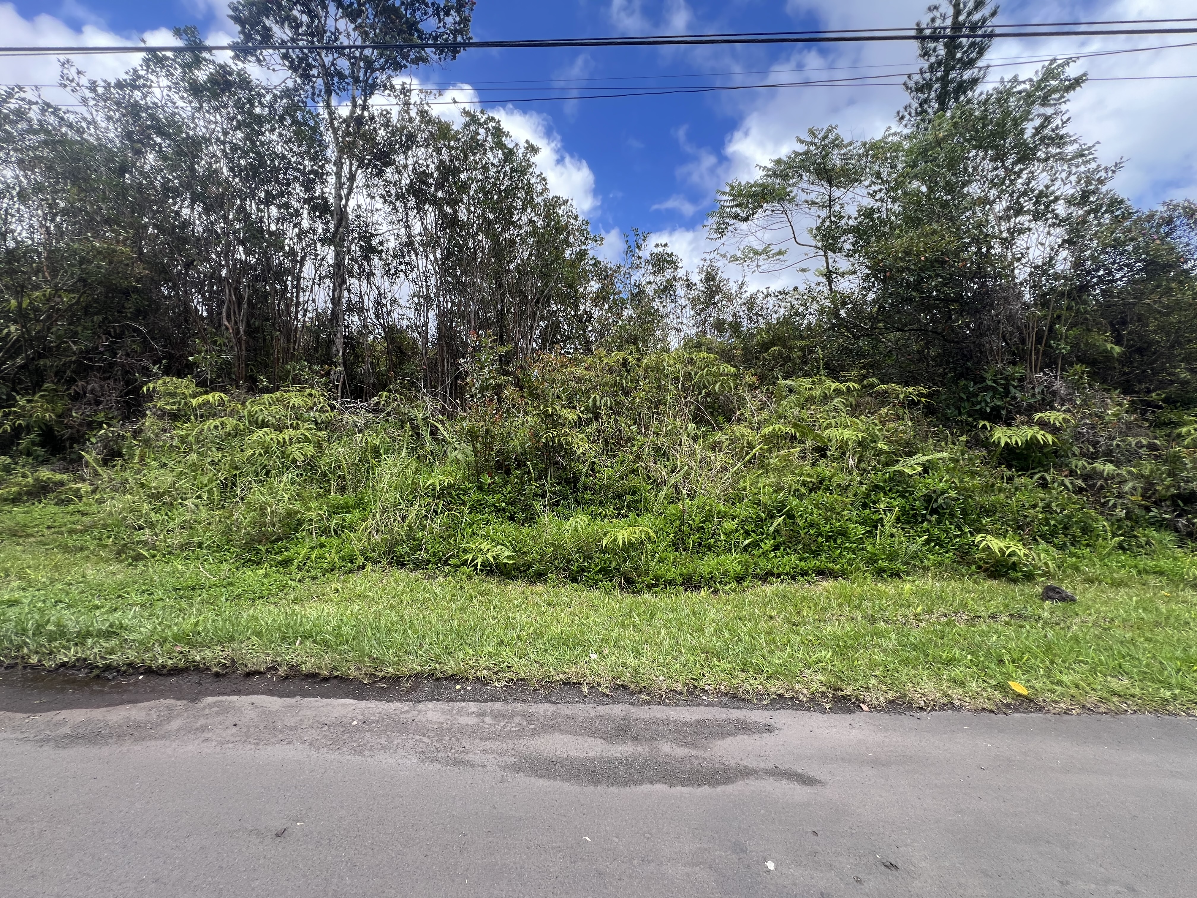 Plumeria St Property Photo 5