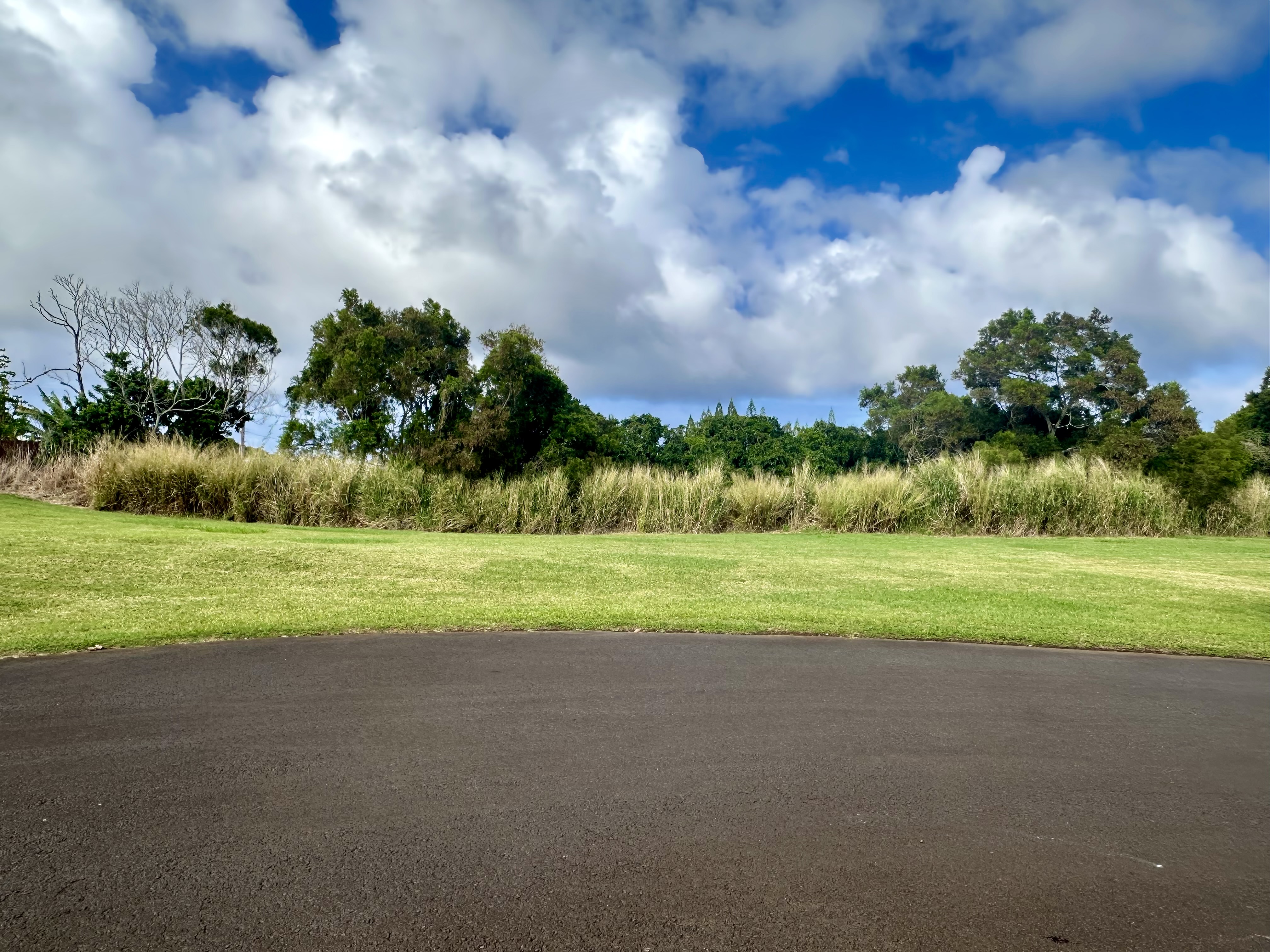 54-3703 Lehuula Circle Property Photo 9