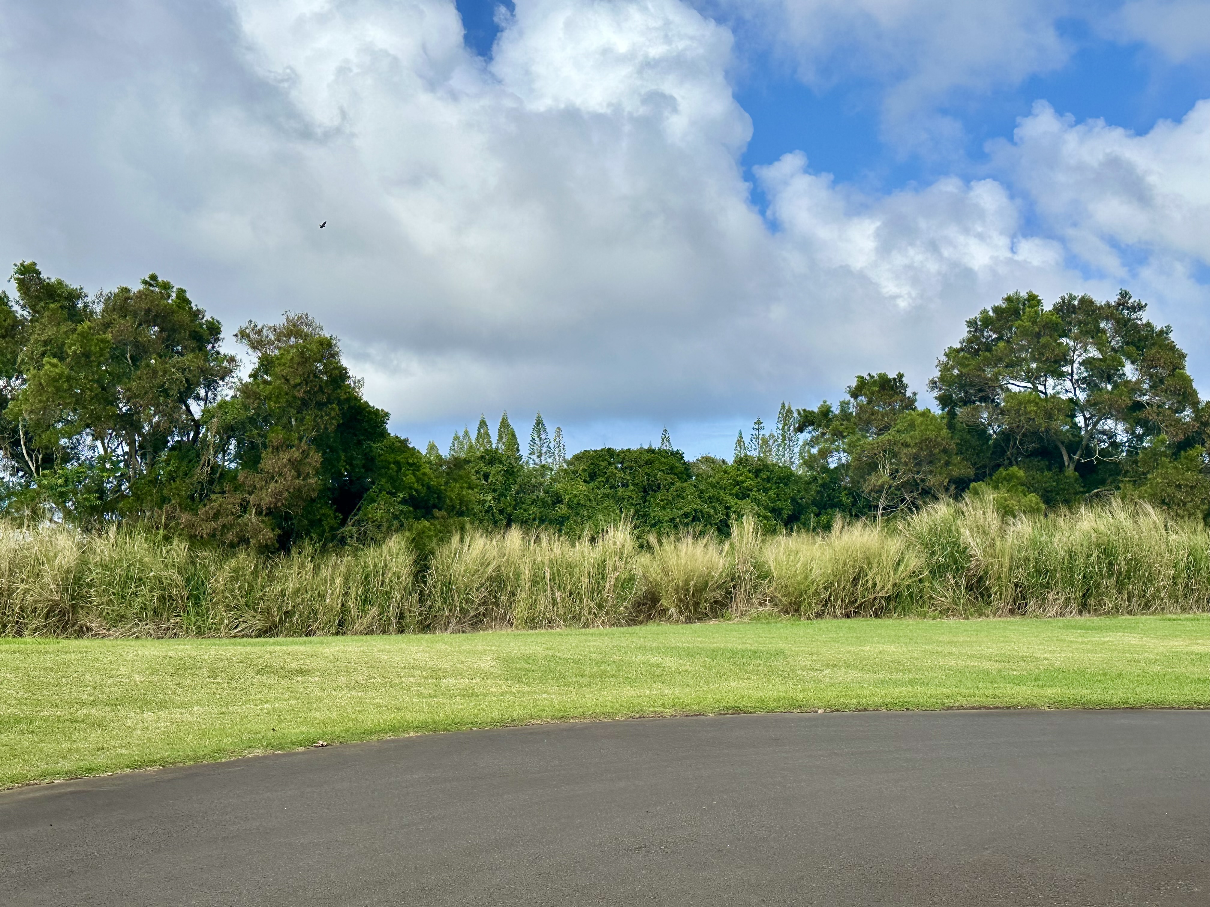 54-3703 Lehuula Circle Property Photo 10