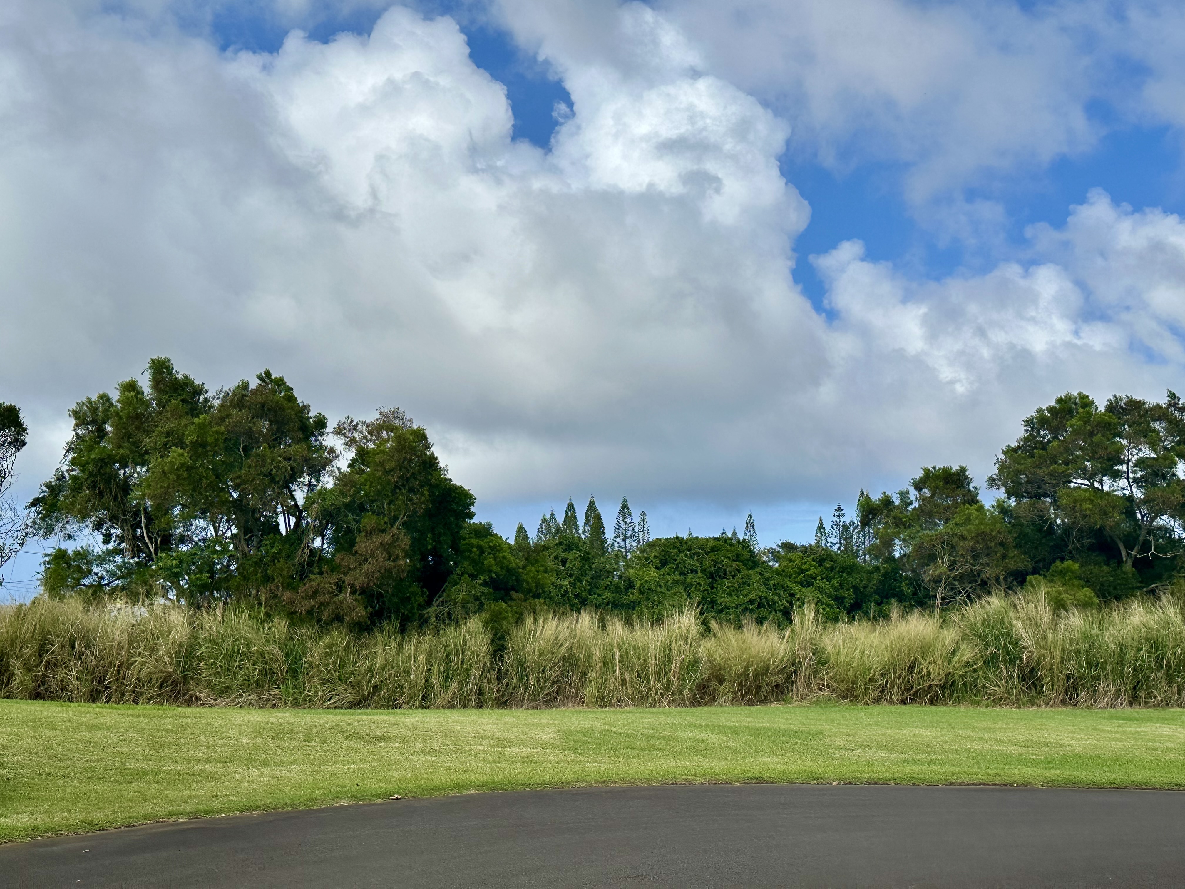 54-3703 Lehuula Circle Property Photo 21