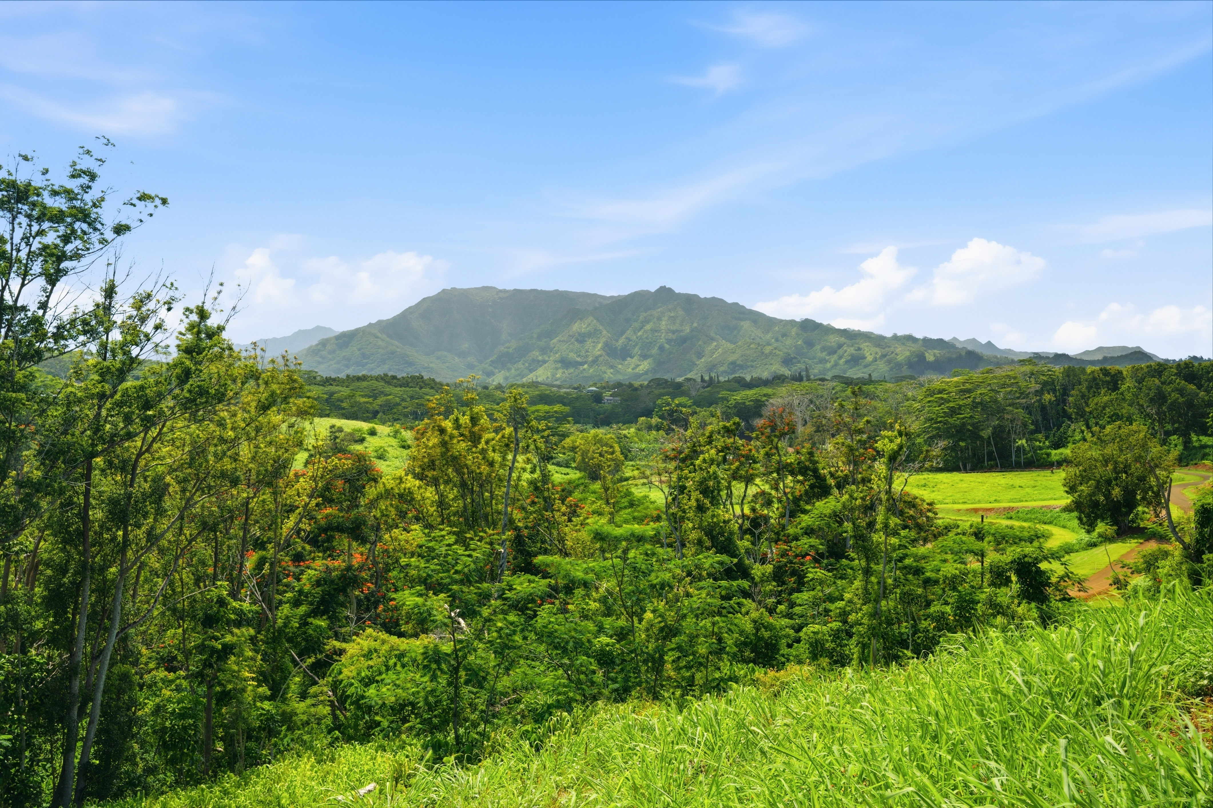 7e Property Photo 14
