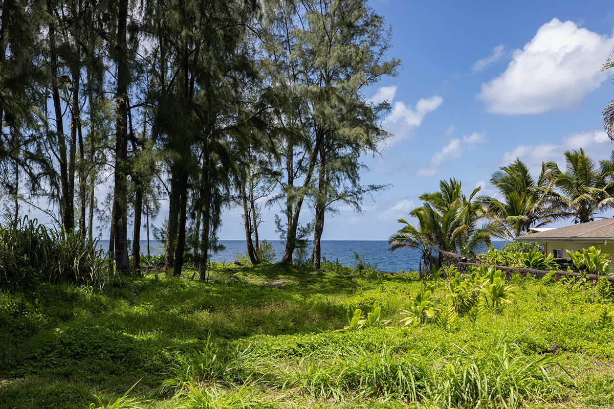 Ala Heiau Rd Property Photo 2