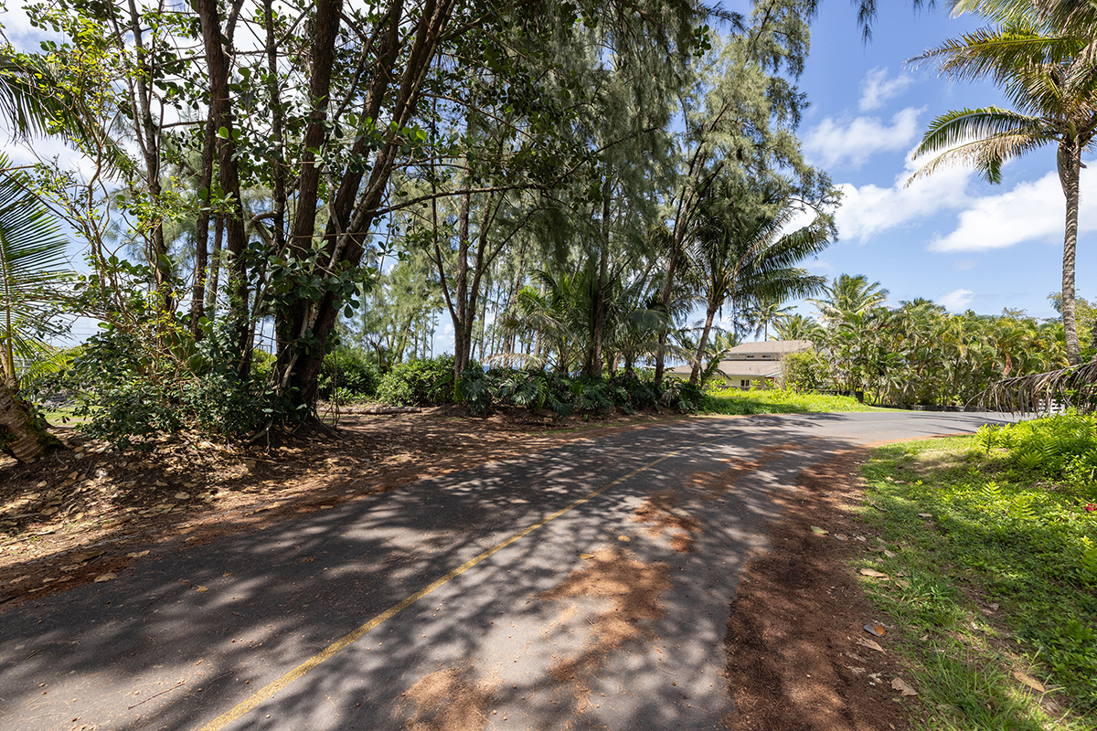Ala Heiau Rd Property Photo 7