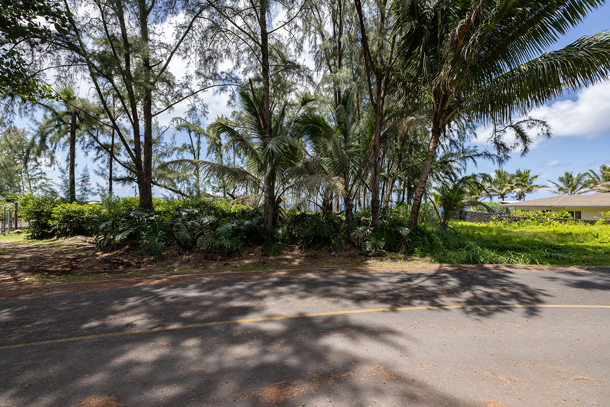 Ala Heiau Rd Property Photo 8