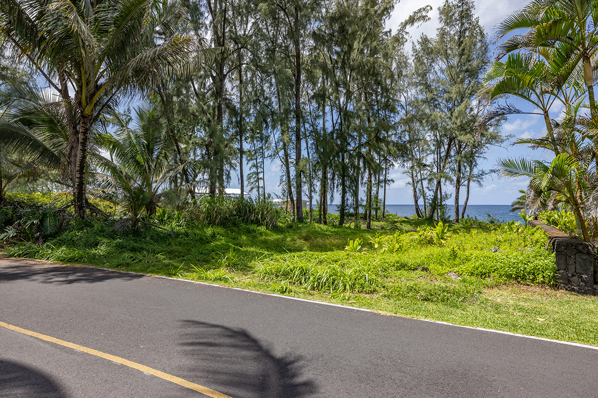 Ala Heiau Rd Property Photo 9
