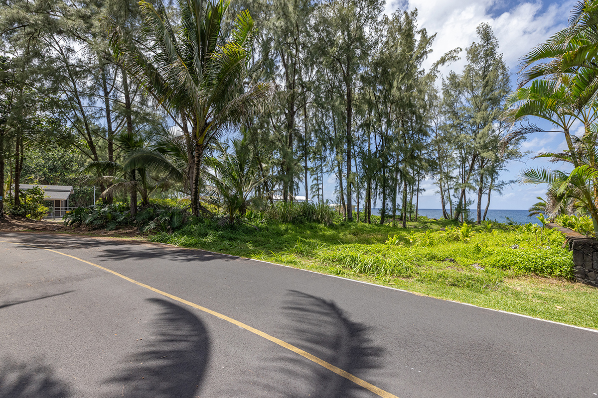 Ala Heiau Rd Property Photo 10