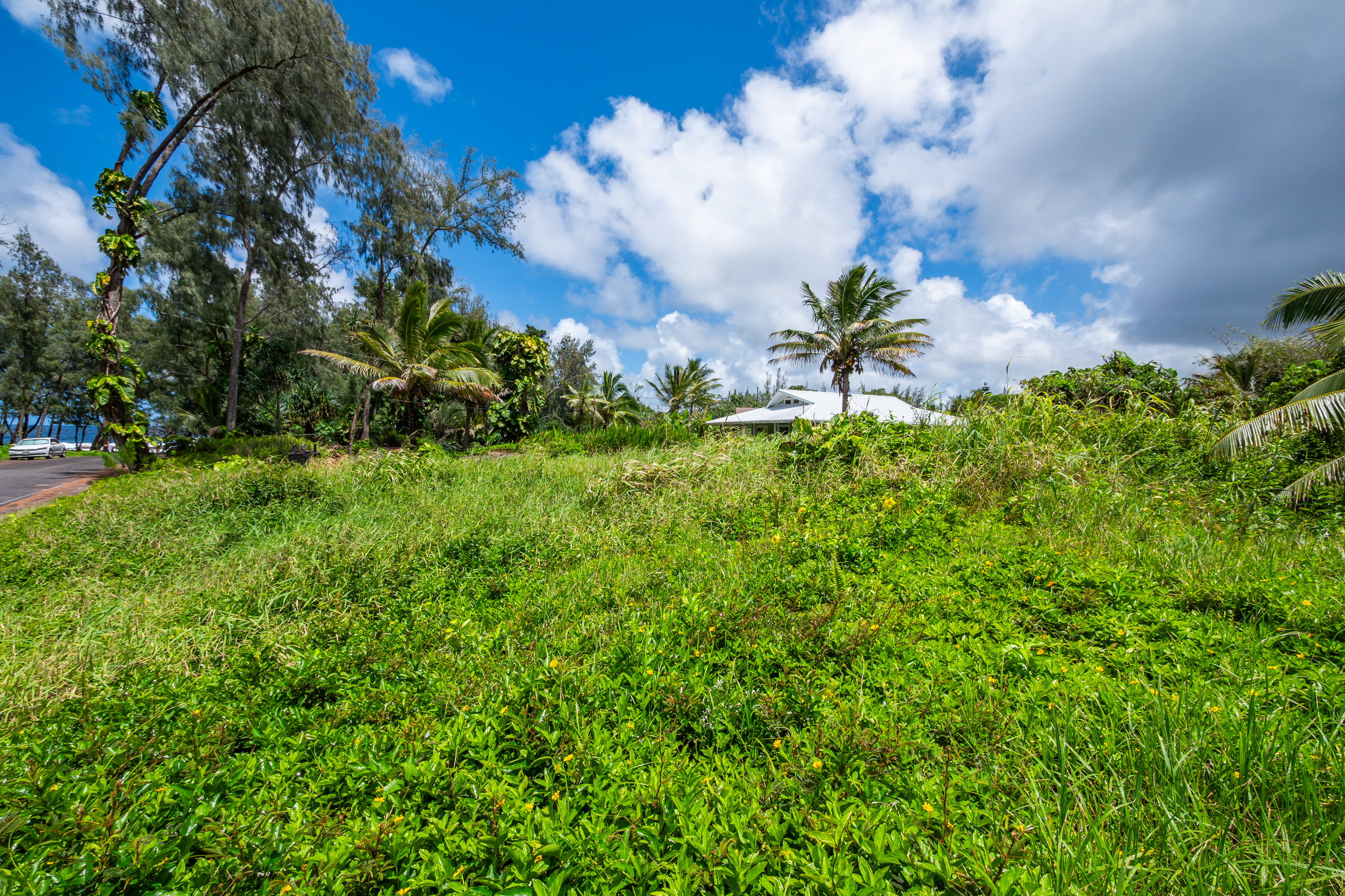Ala Heiau Ave Property Photo 17