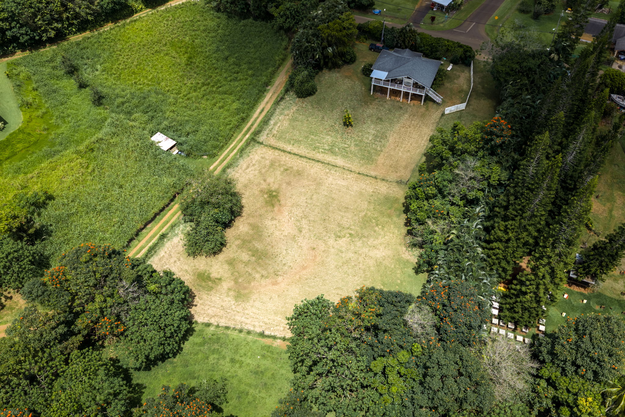 Puuopae Rd Property Photo 8