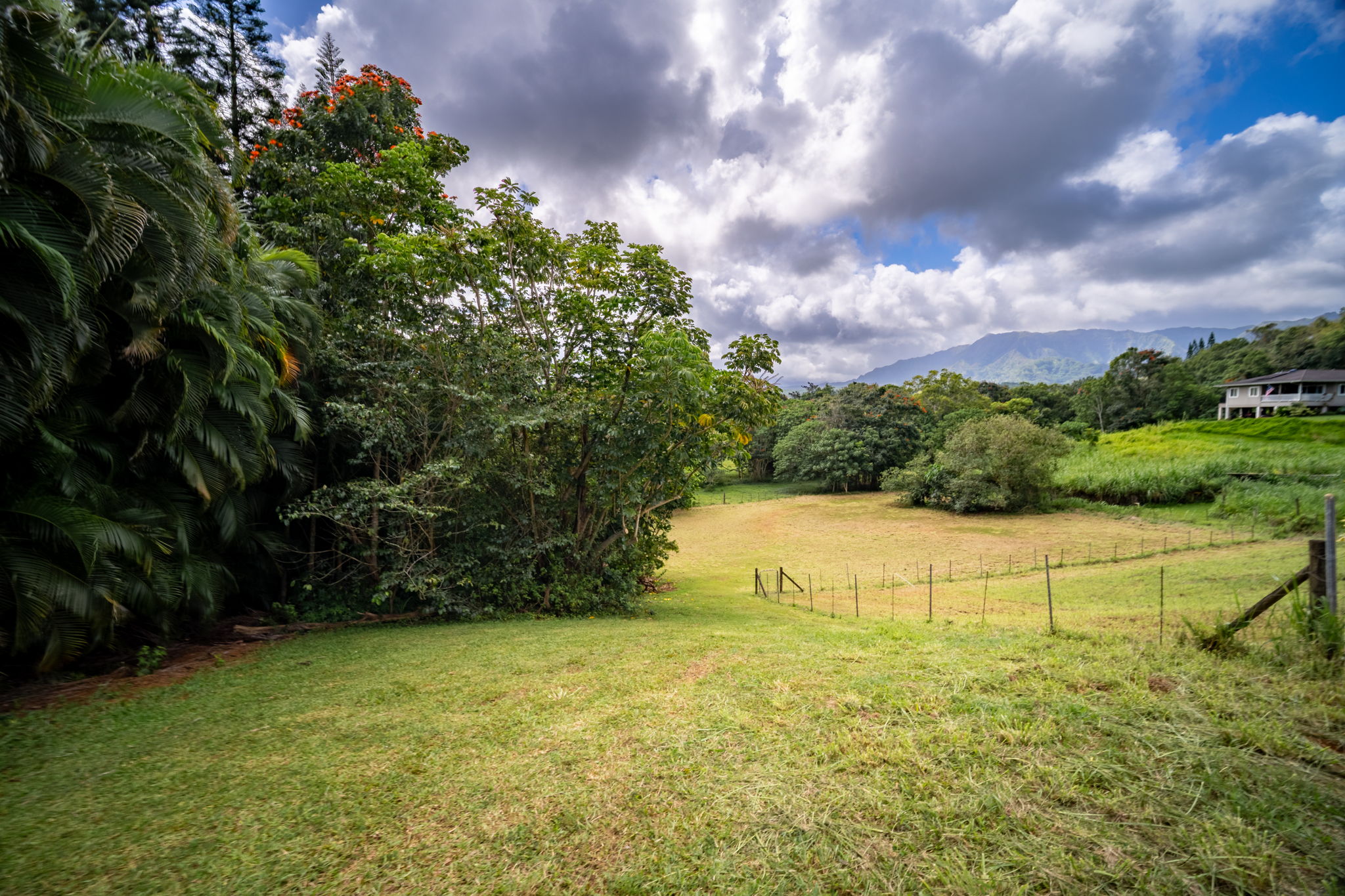 Puuopae Rd Property Photo 13