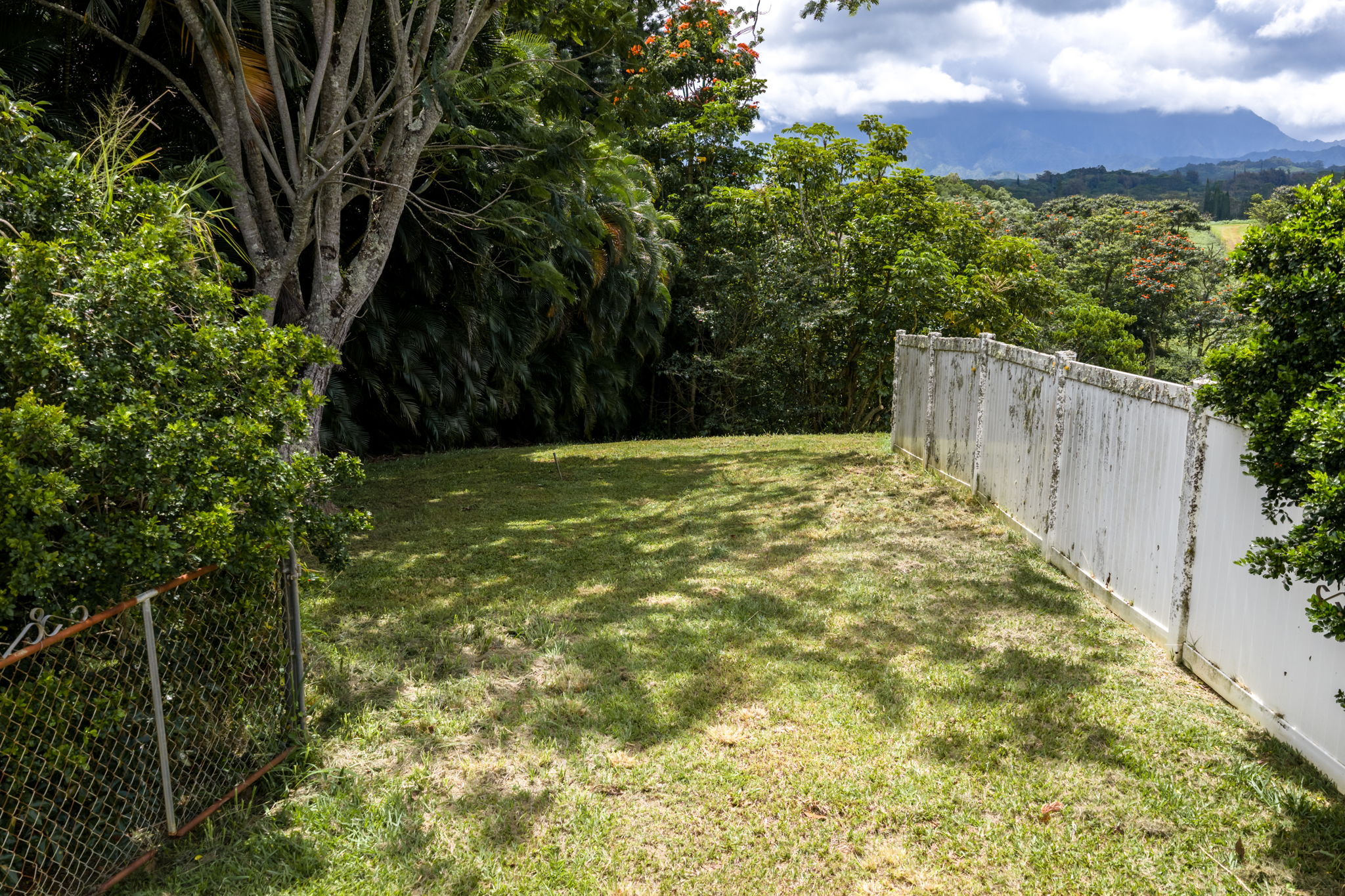 Puuopae Rd Property Photo 15
