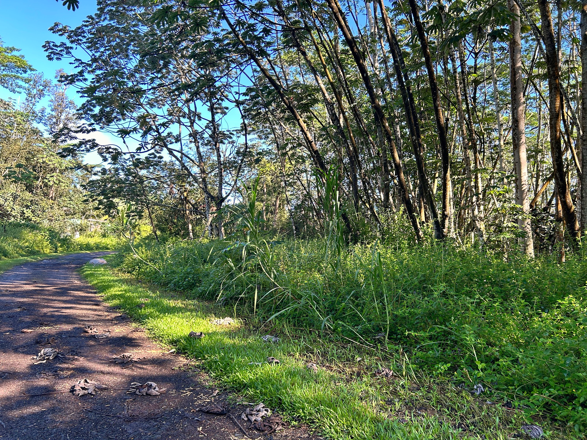 Lehua Rd Property Photo 1