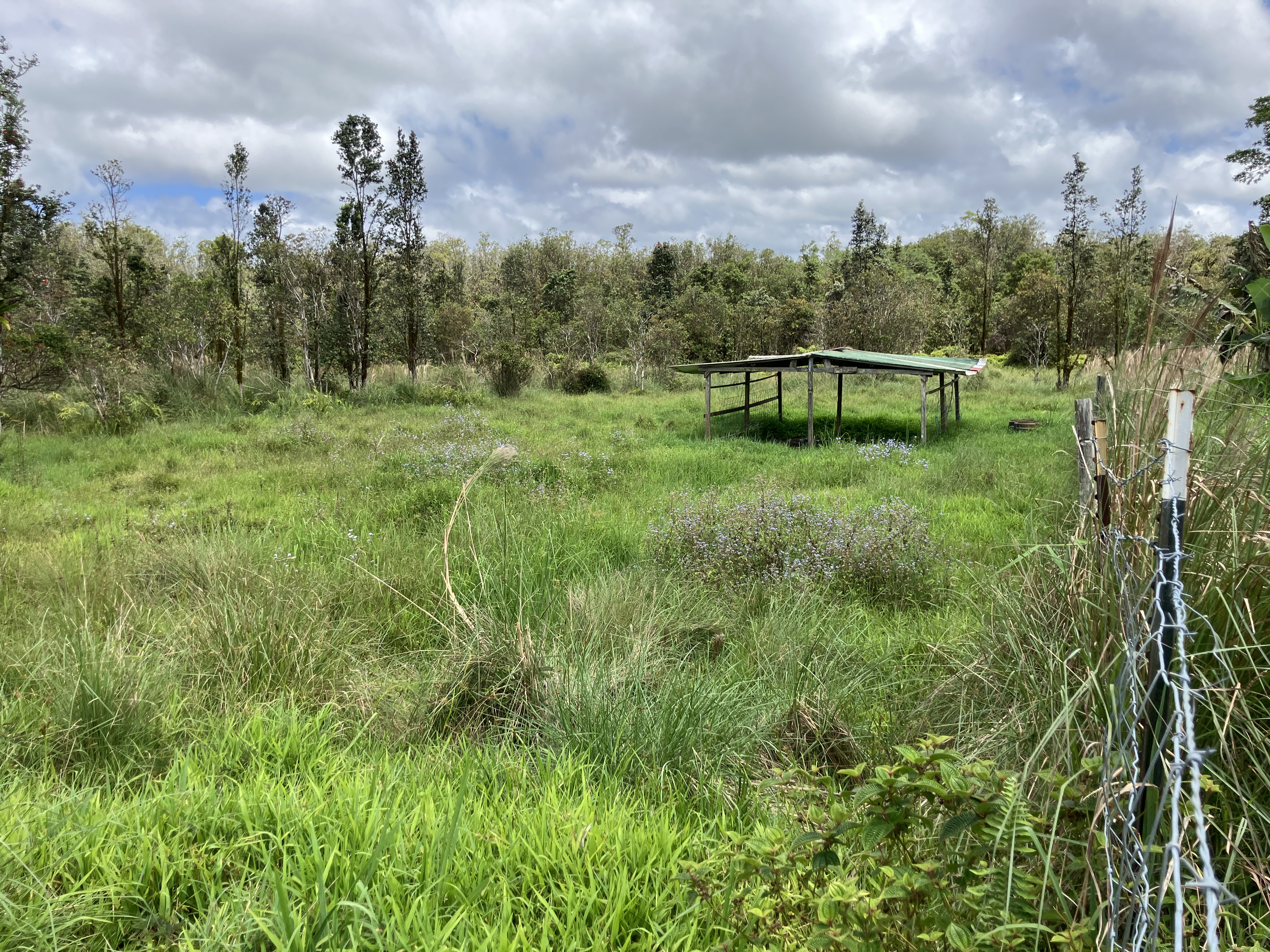 18-3746 Kopua Rd Property Photo 23