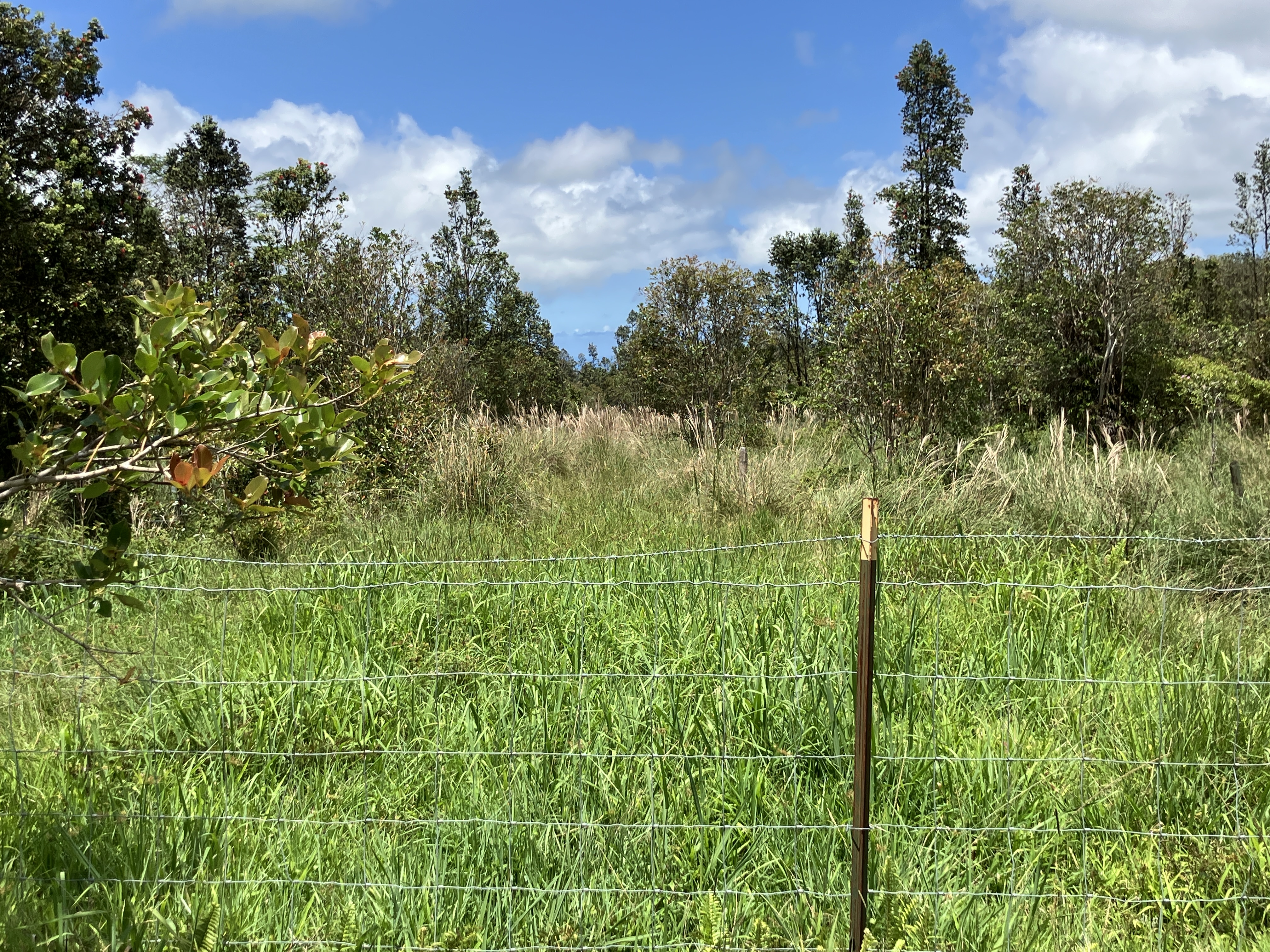 18-3746 Kopua Rd Property Photo 28