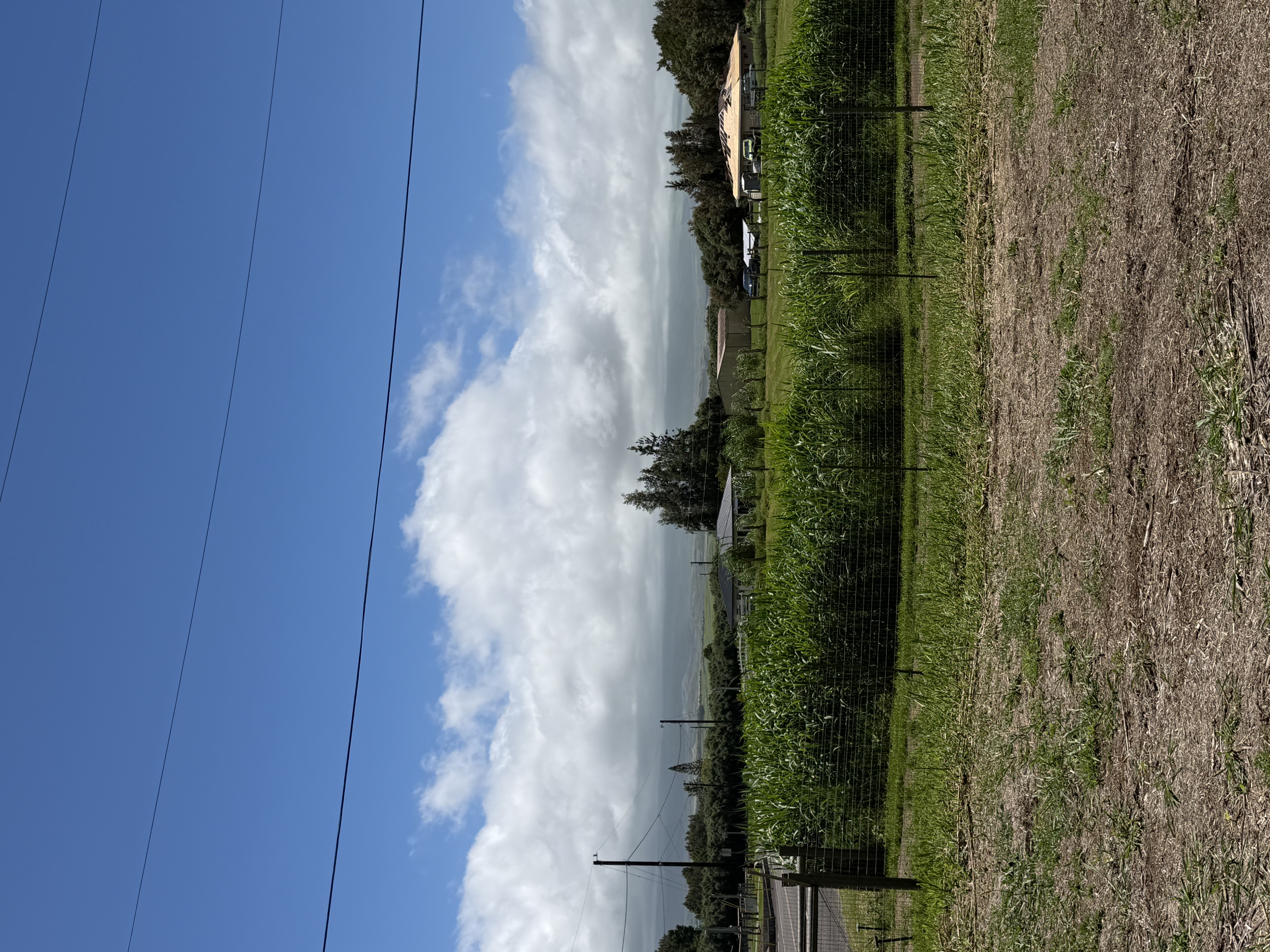 64-6102 Okada Farms Pl Property Photo 3