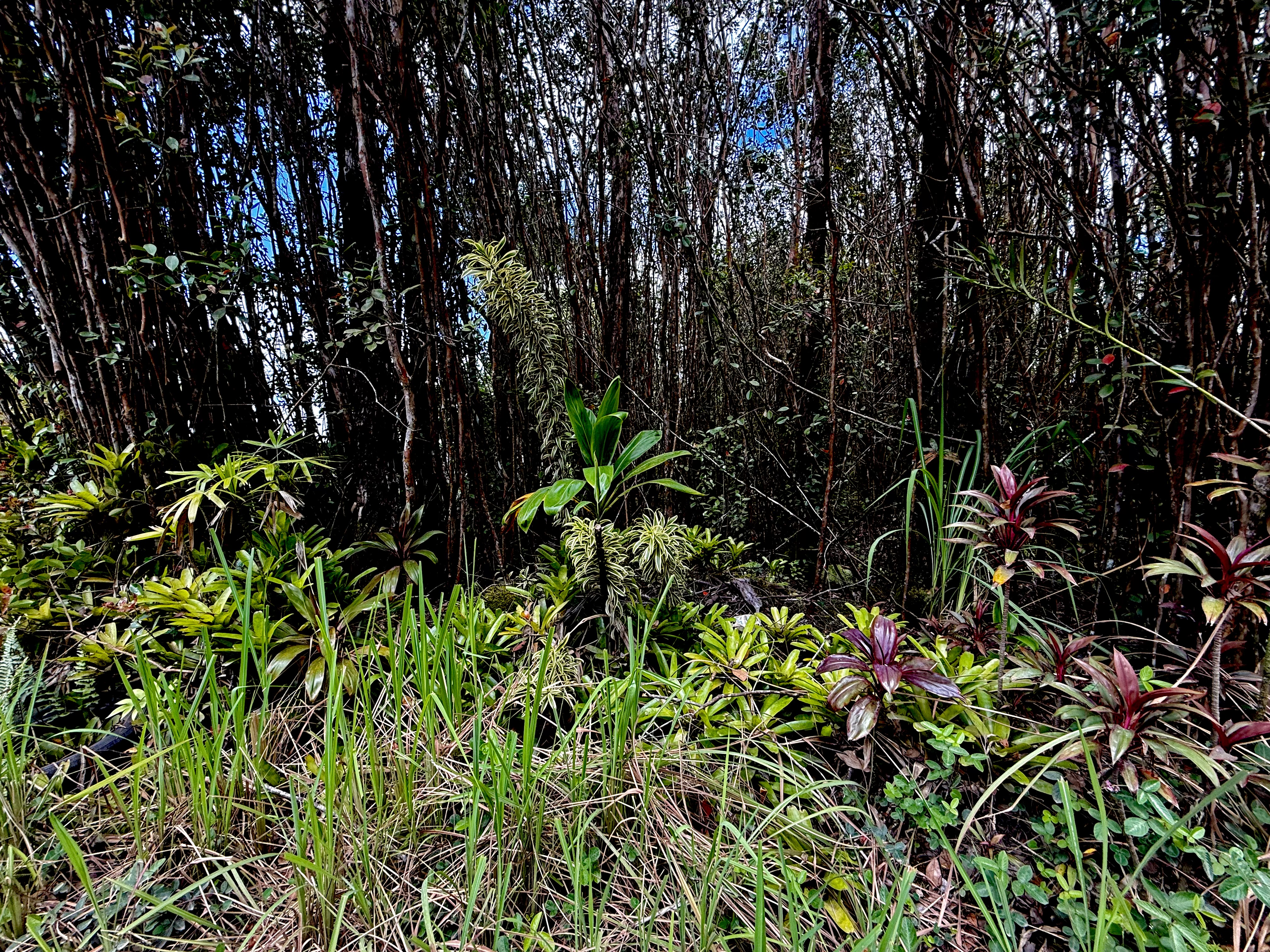Road 1 (uhini Ana) Property Photo 1