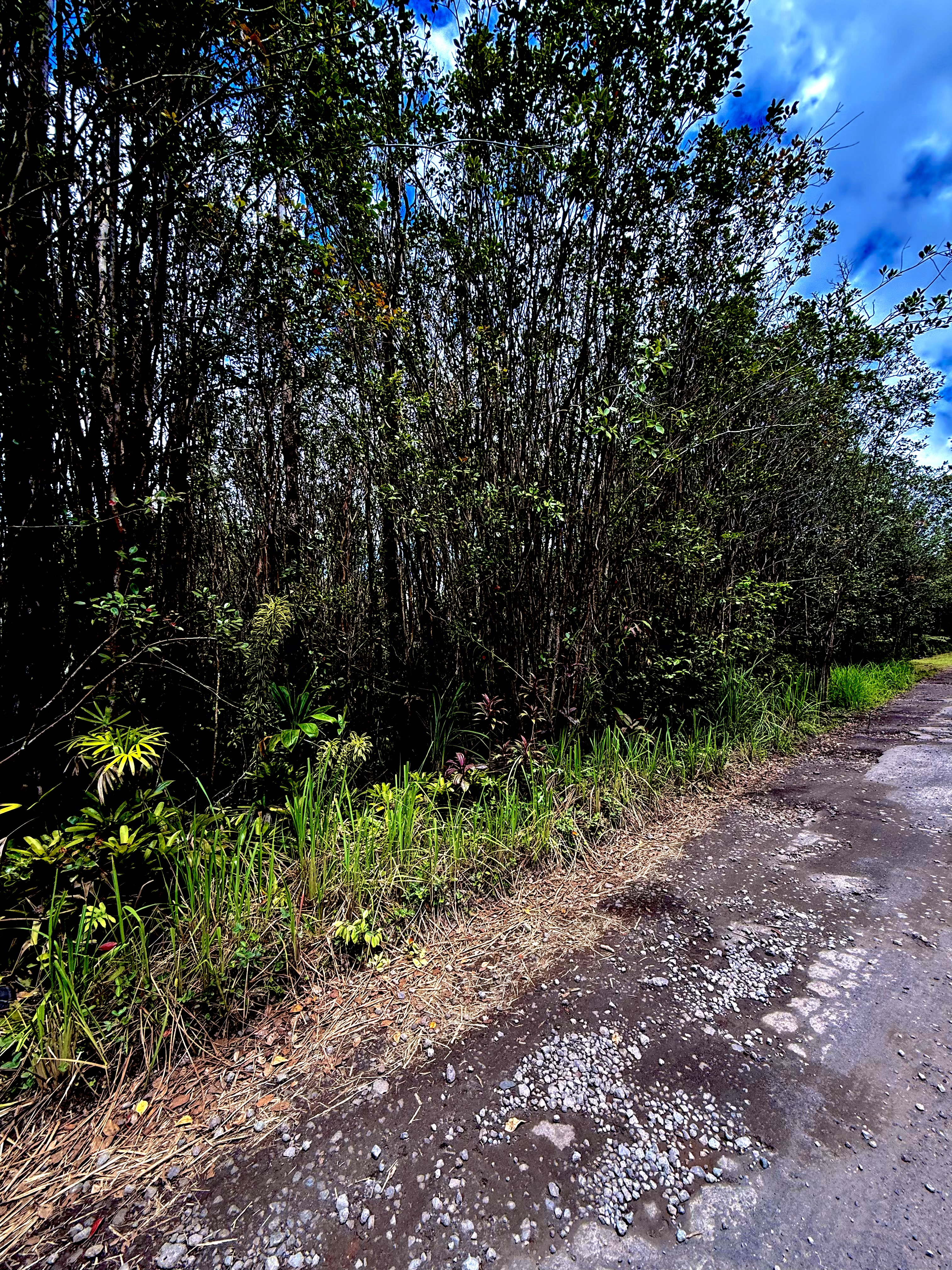 Road 1 (uhini Ana) Property Photo 2