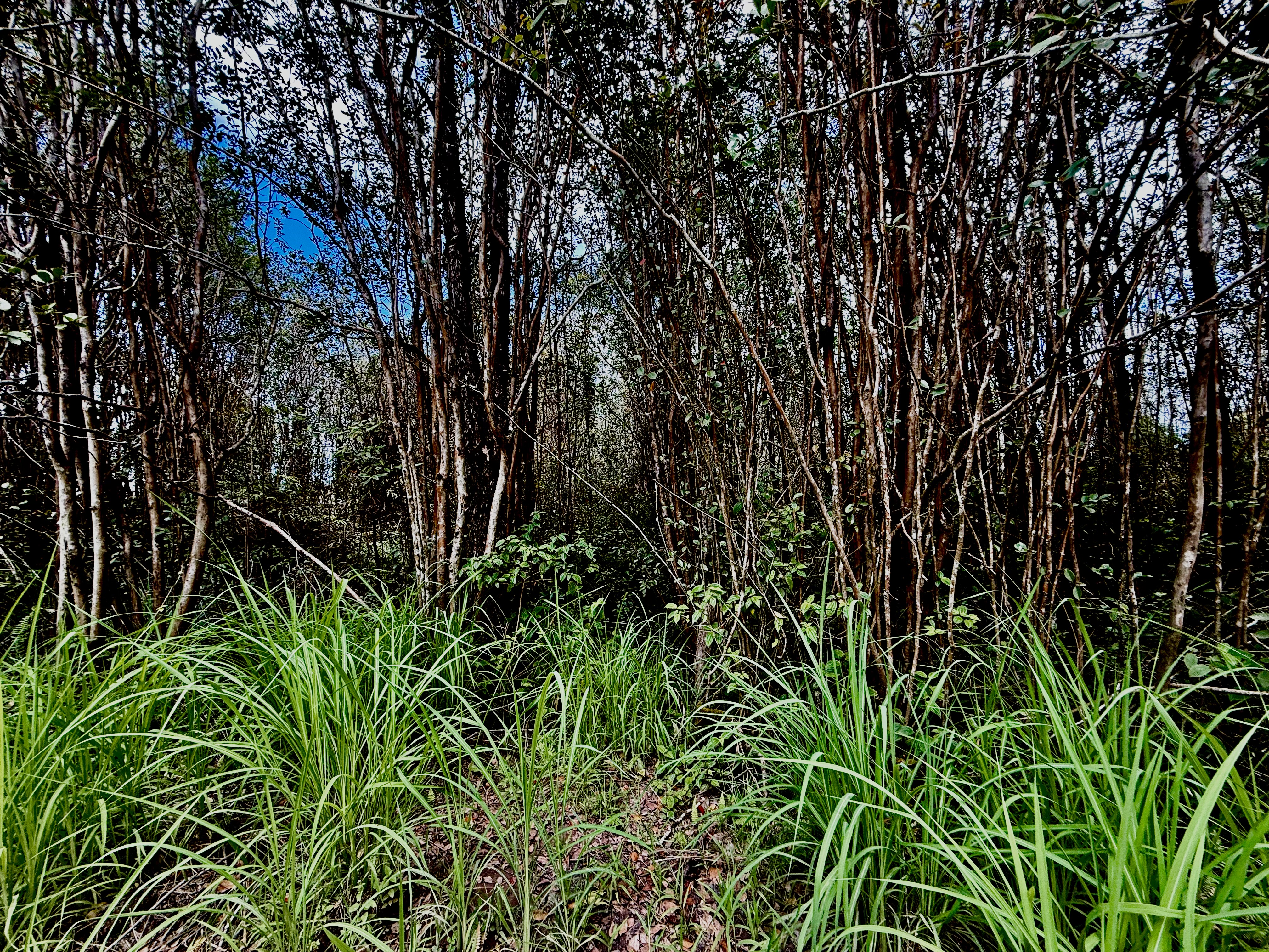 Road 1 (uhini Ana) Property Photo 4