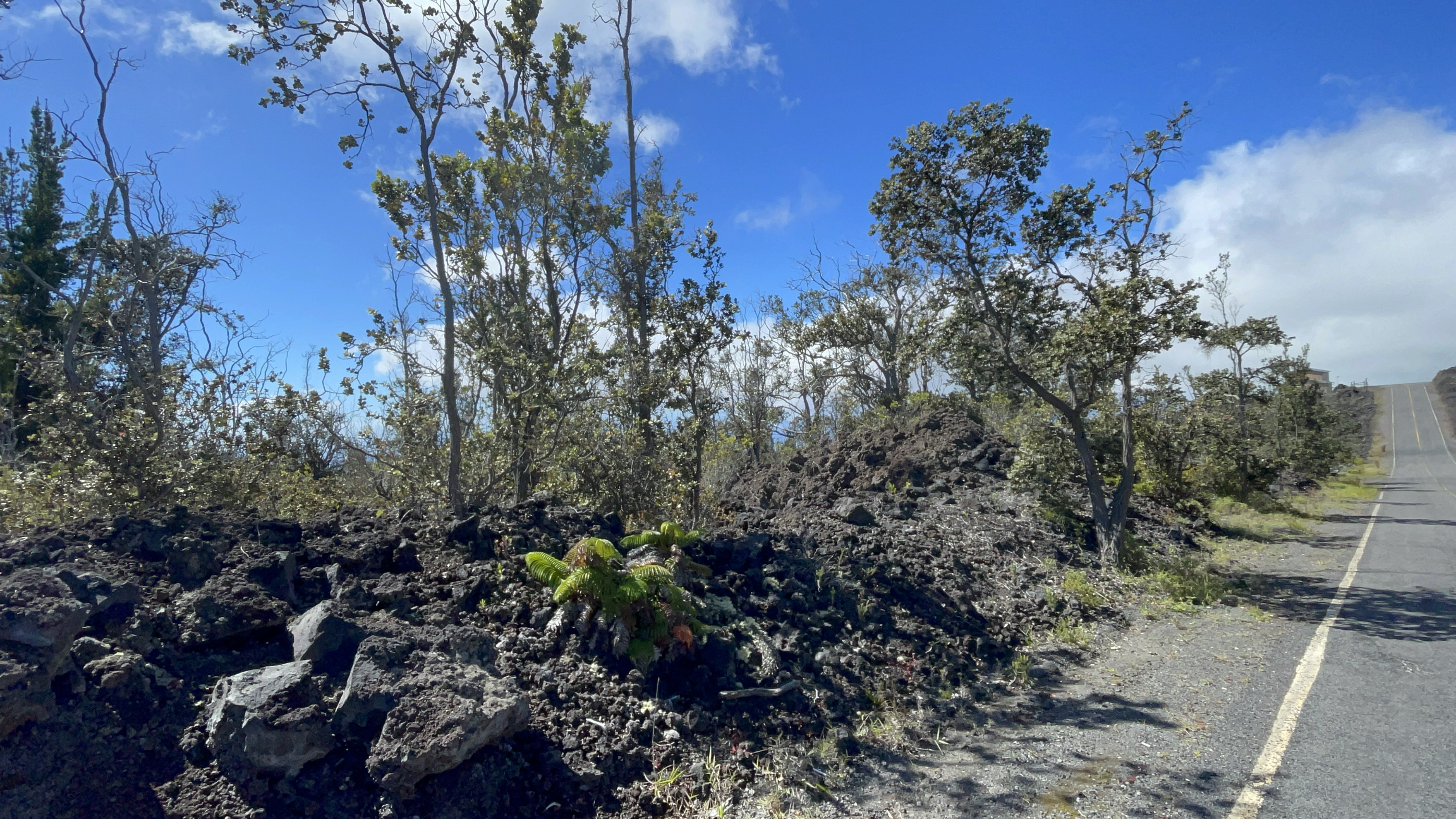 Outrigger Dr Property Photo 1