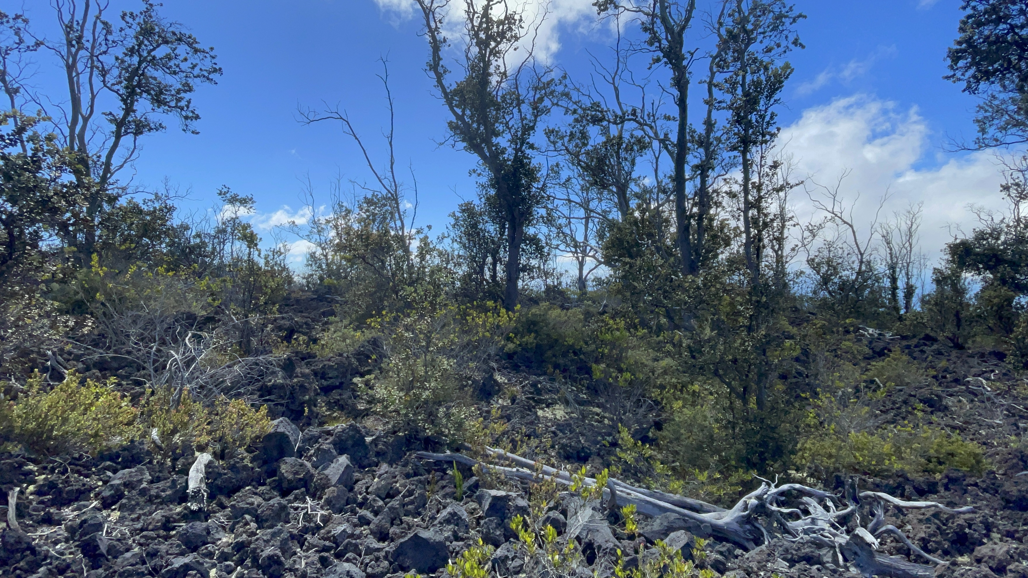 Outrigger Dr Property Photo 4