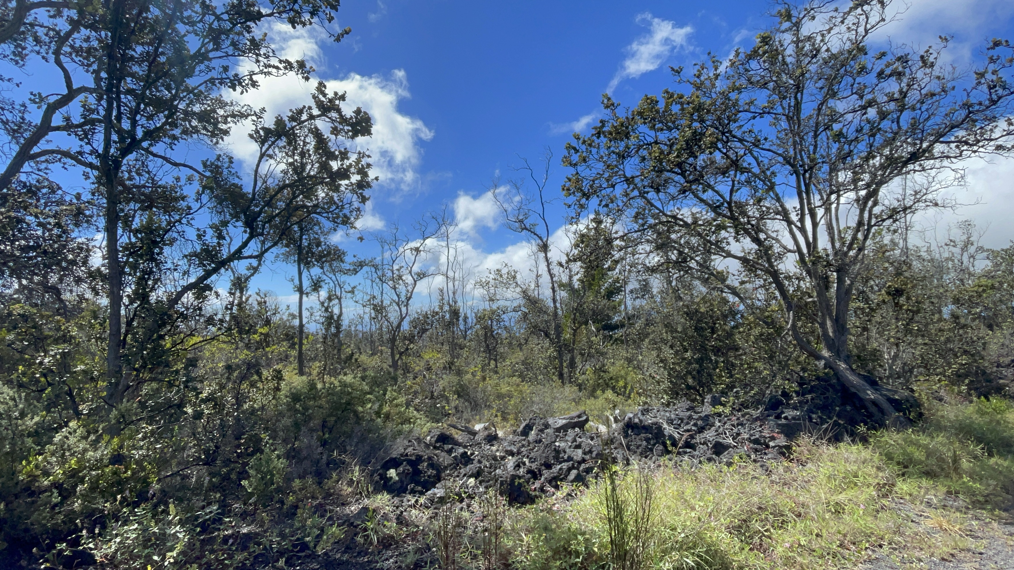 Outrigger Dr Property Photo 5