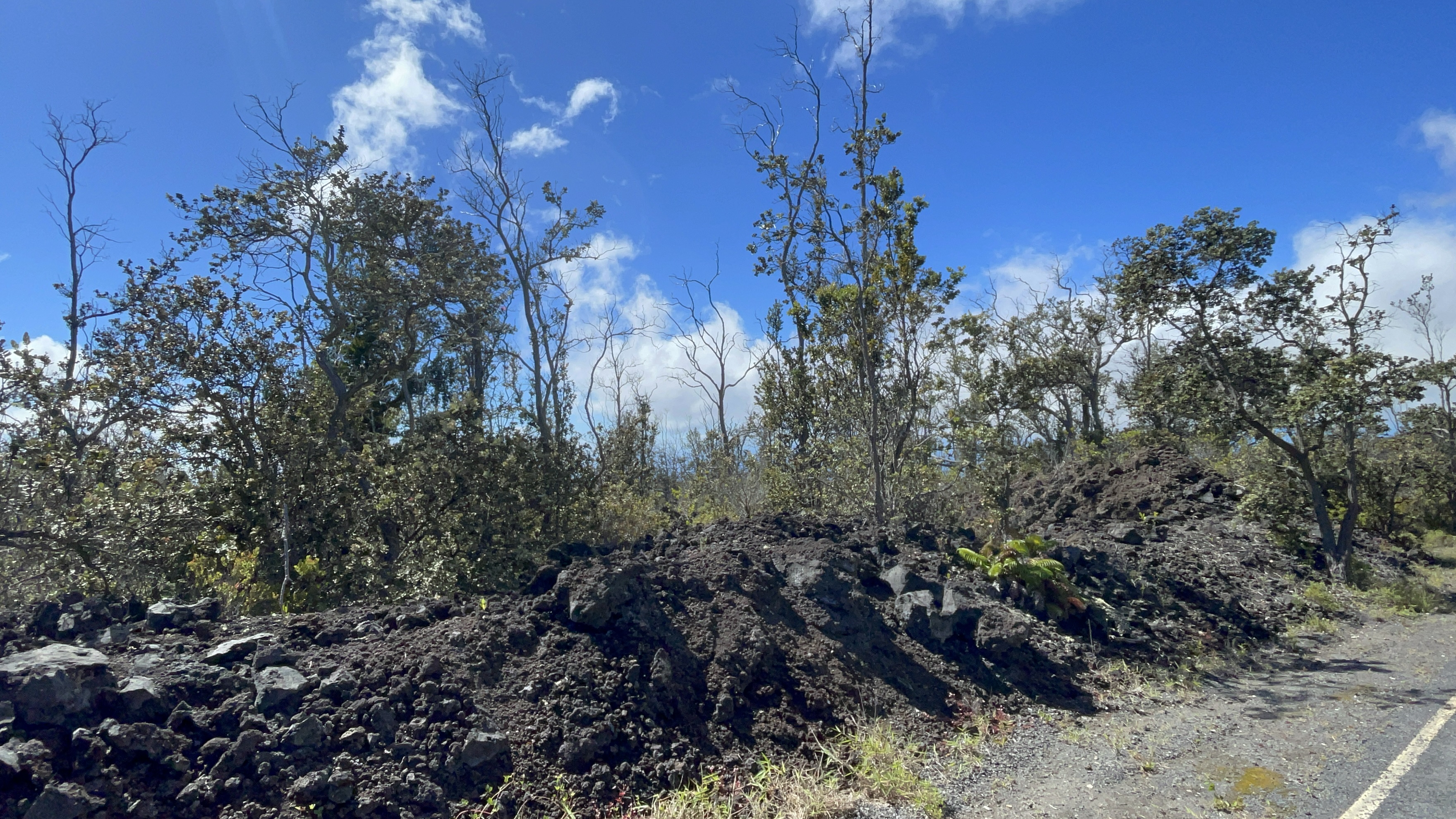 Outrigger Dr Property Photo 8
