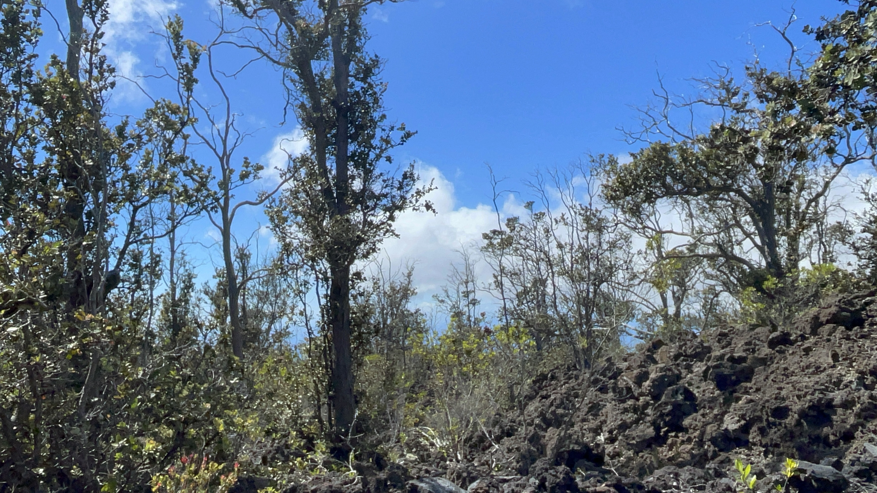 Outrigger Dr Property Photo 9