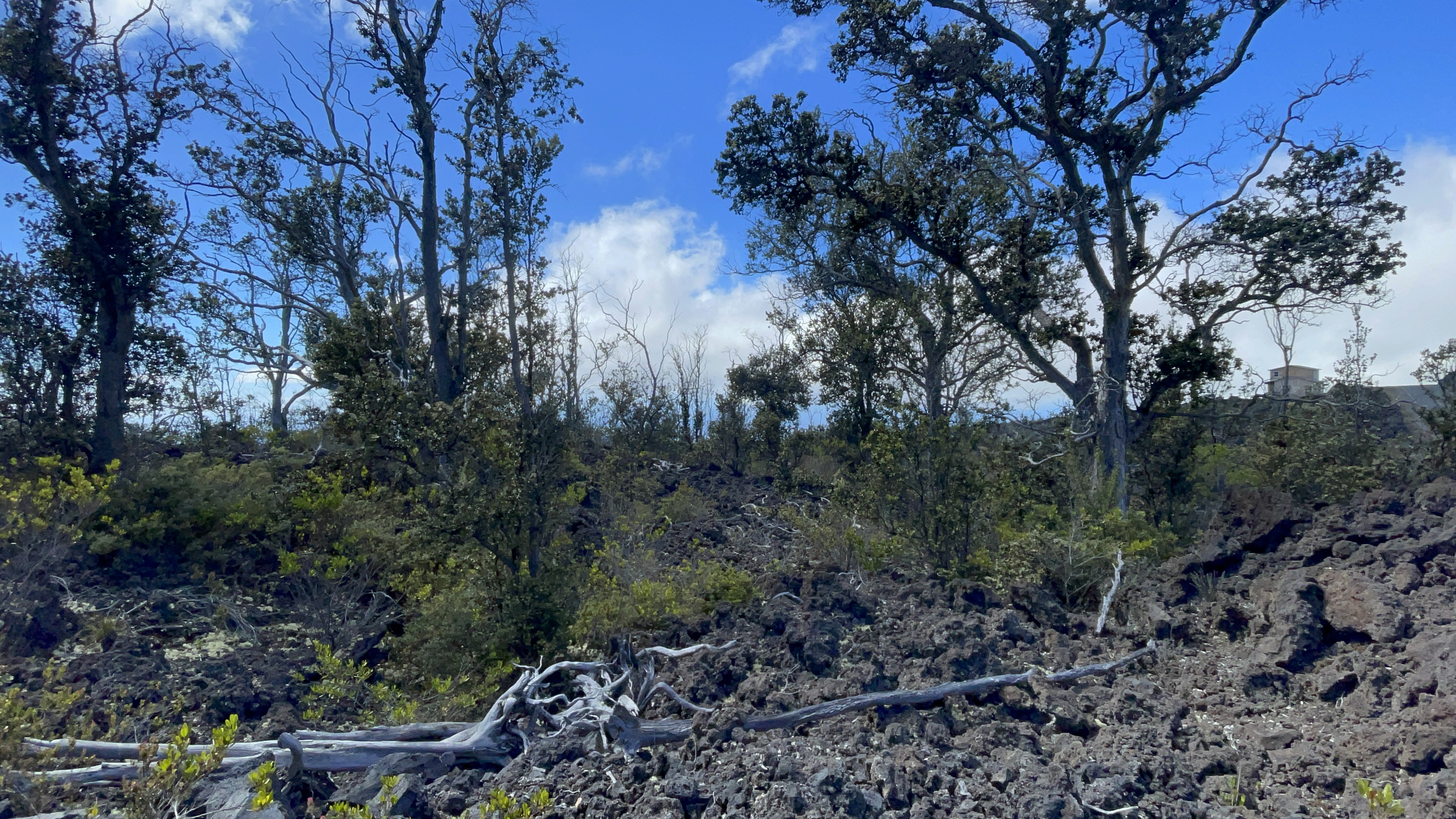 Outrigger Dr Property Photo 10