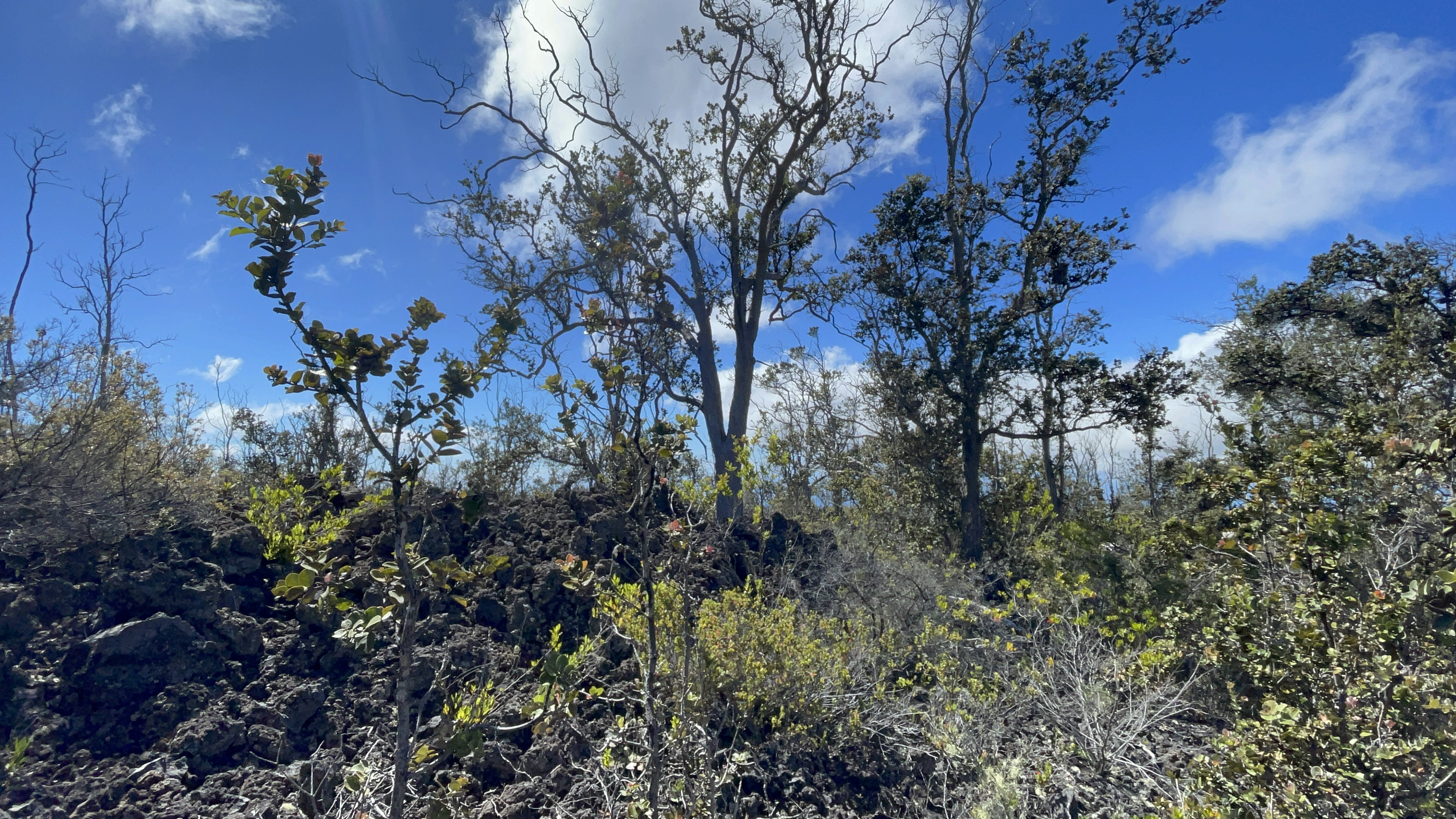 Outrigger Dr Property Photo 11