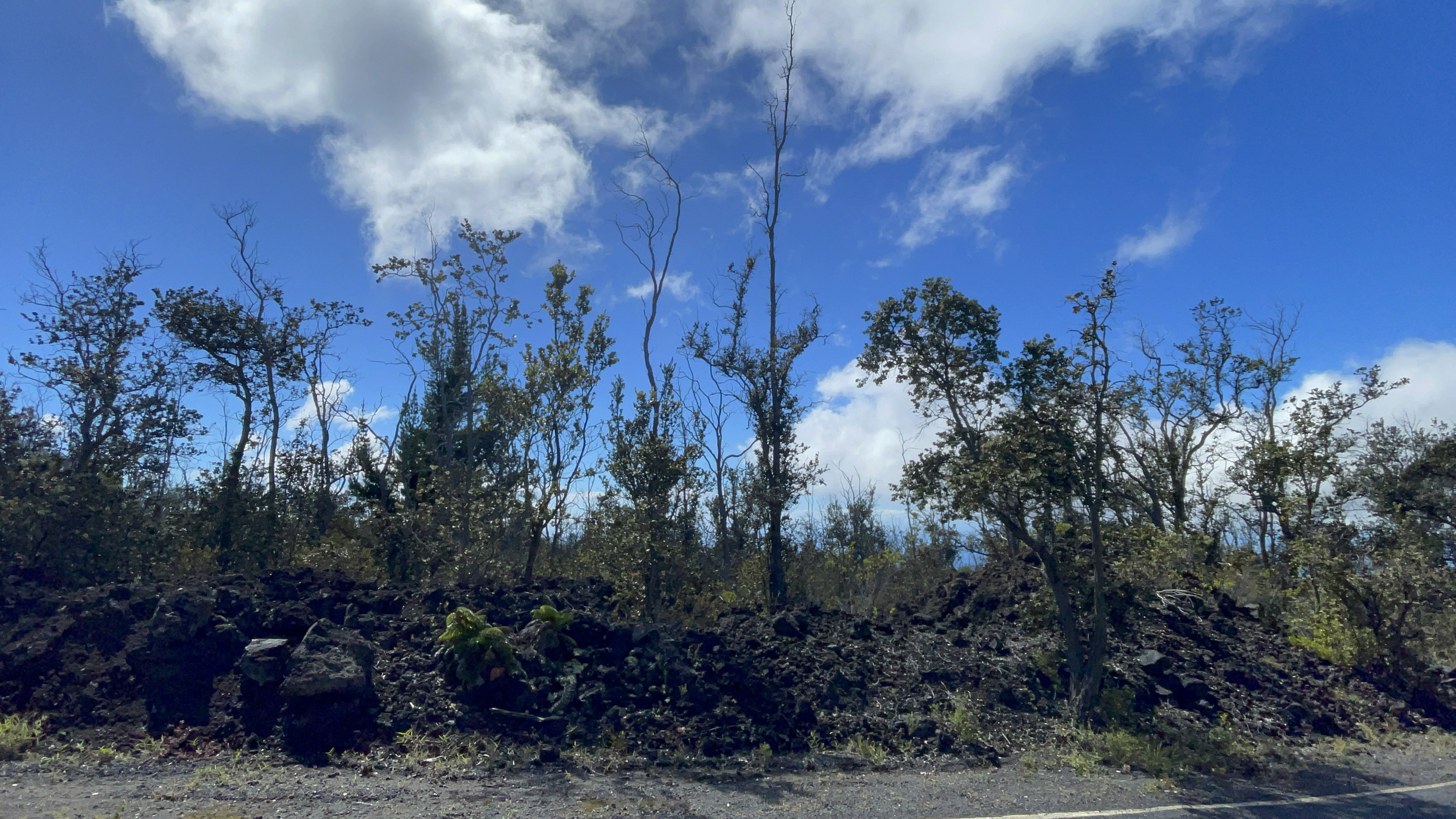 Outrigger Dr Property Photo 12