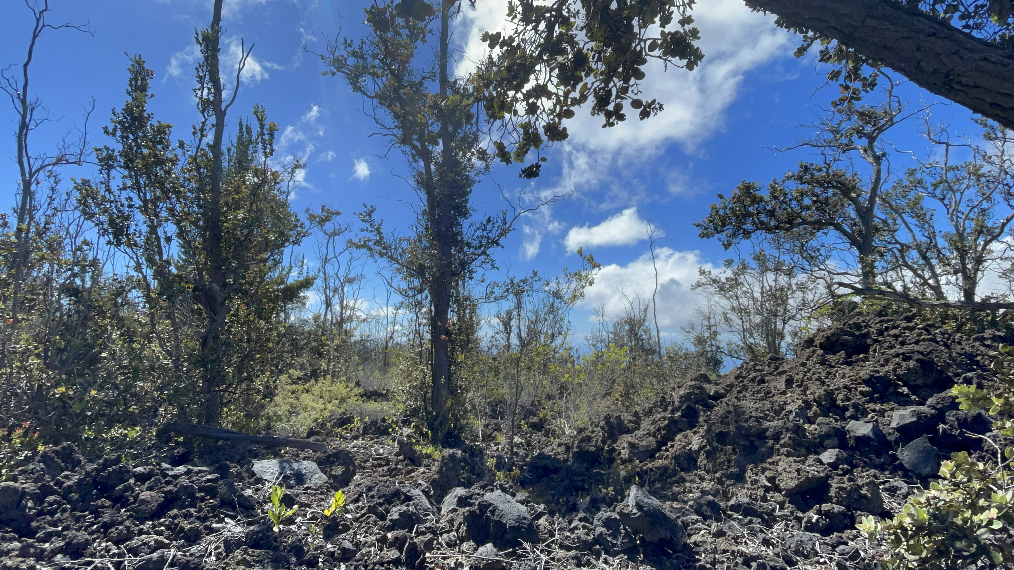 Outrigger Dr Property Photo 14