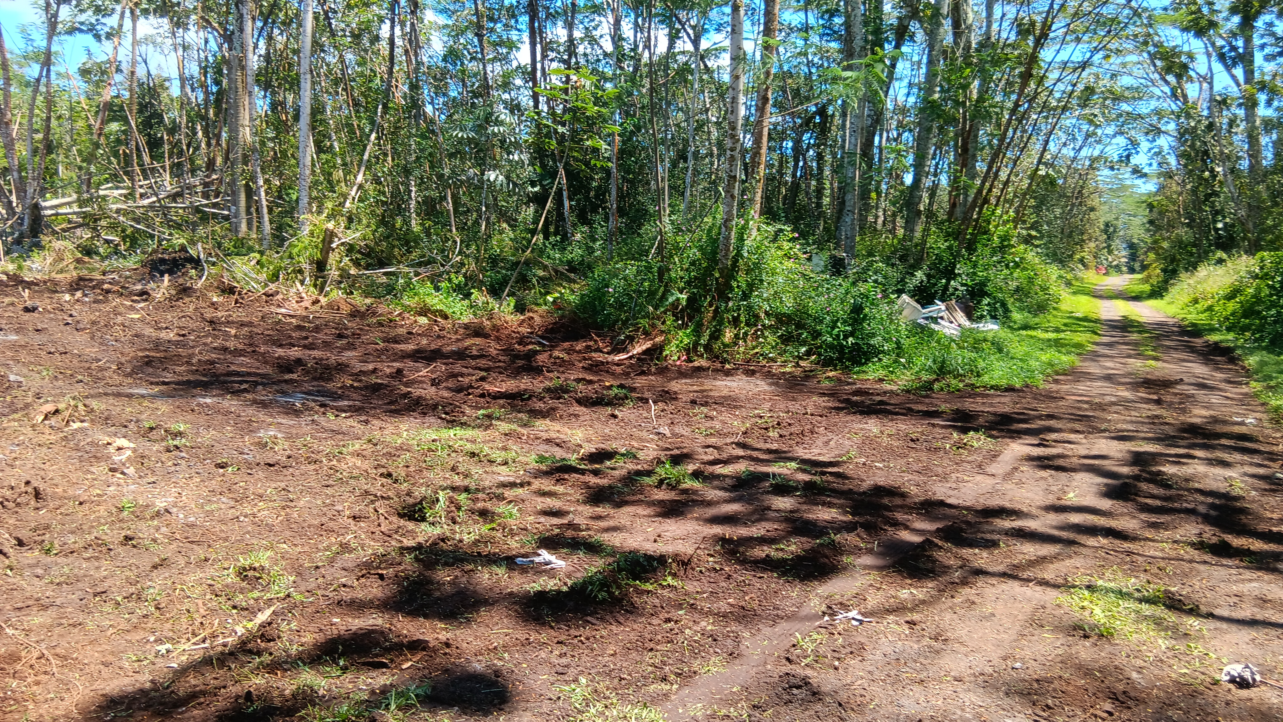 Plumeria Rd Property Photo 3