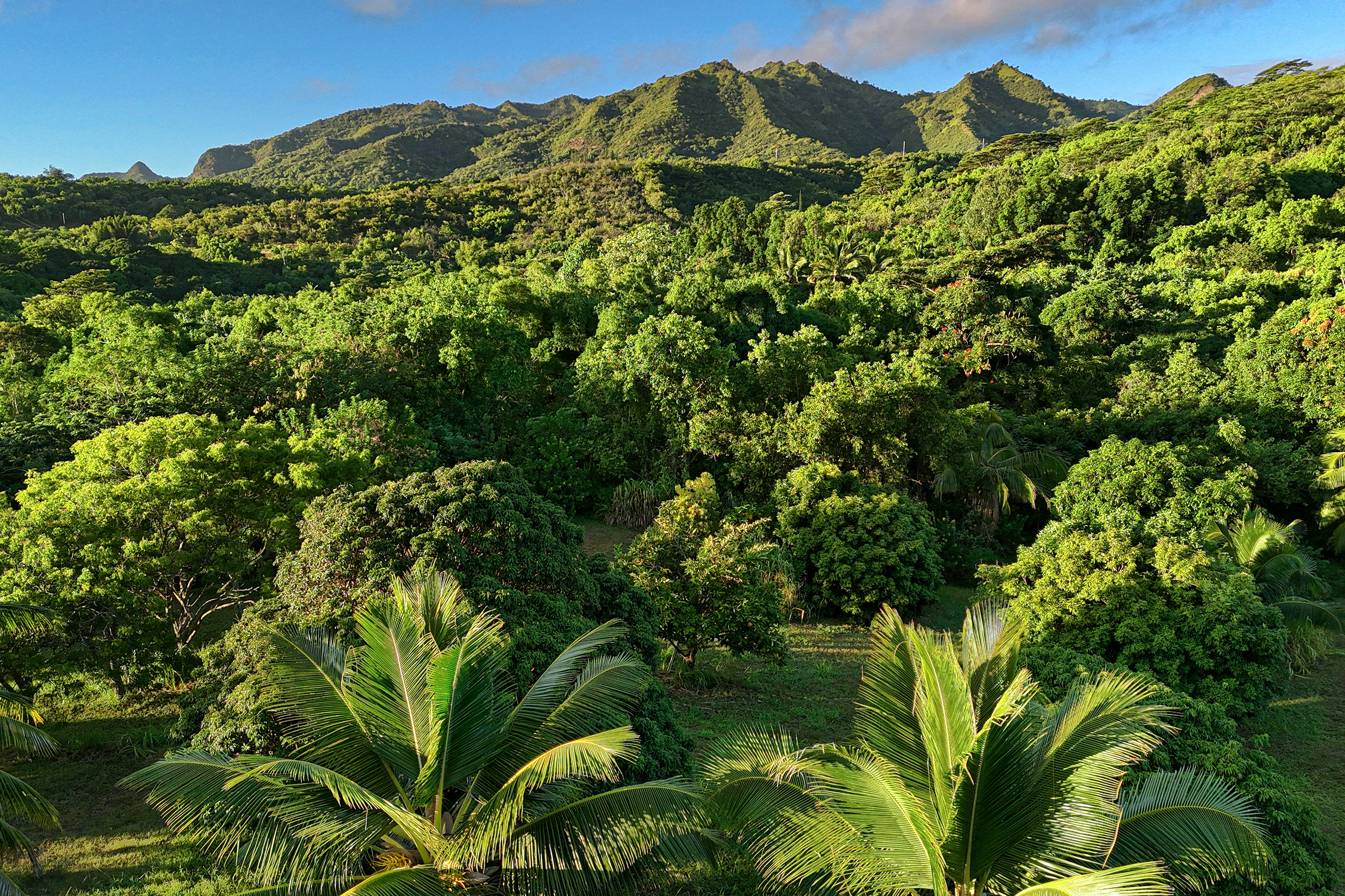 6565-c Koolau Rd Property Photo 2