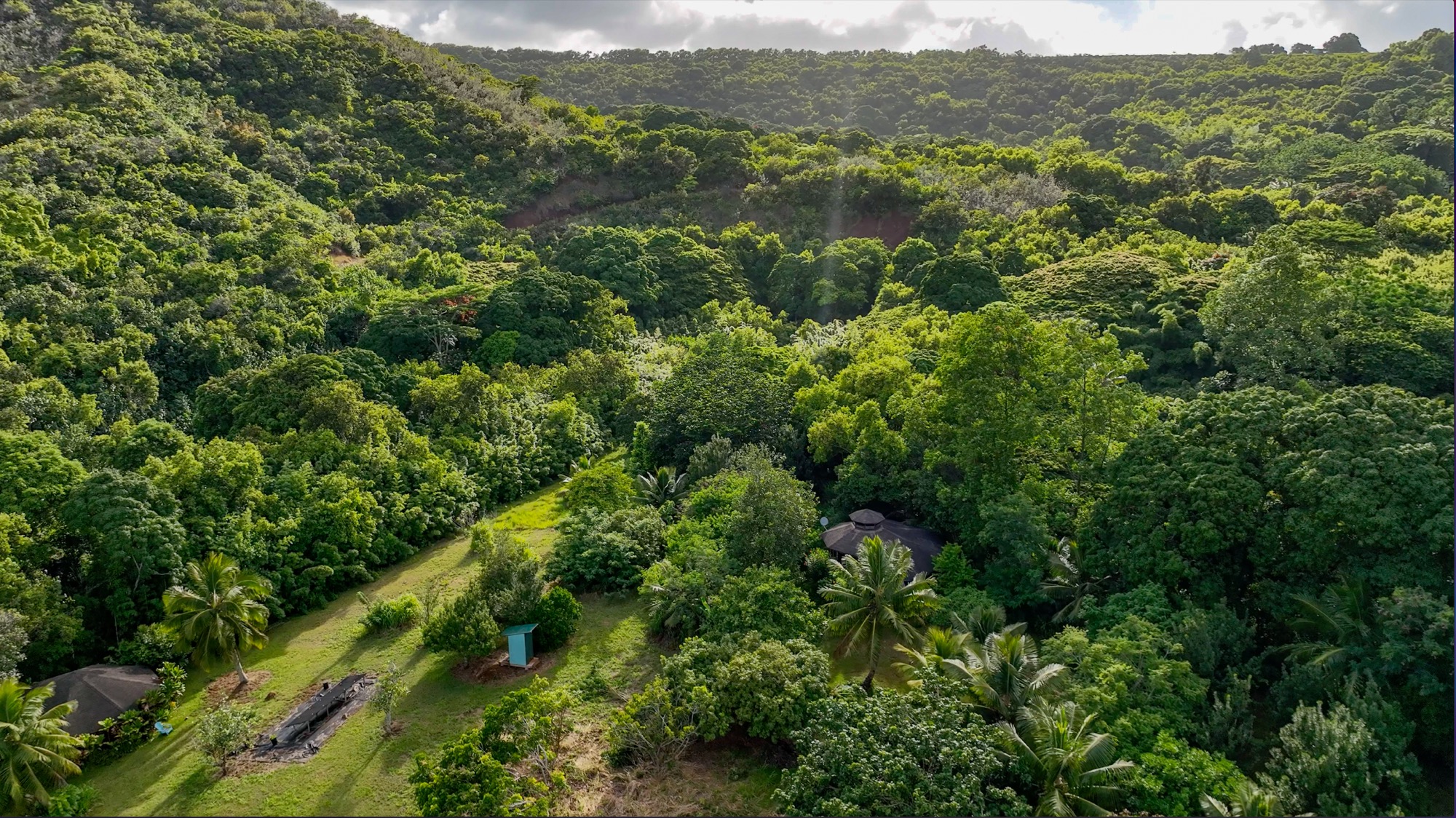 6565-c Koolau Rd Property Photo 3
