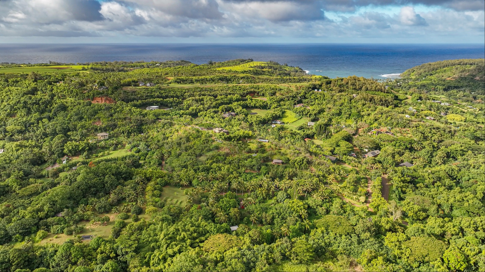6565-c Koolau Rd Property Photo 6