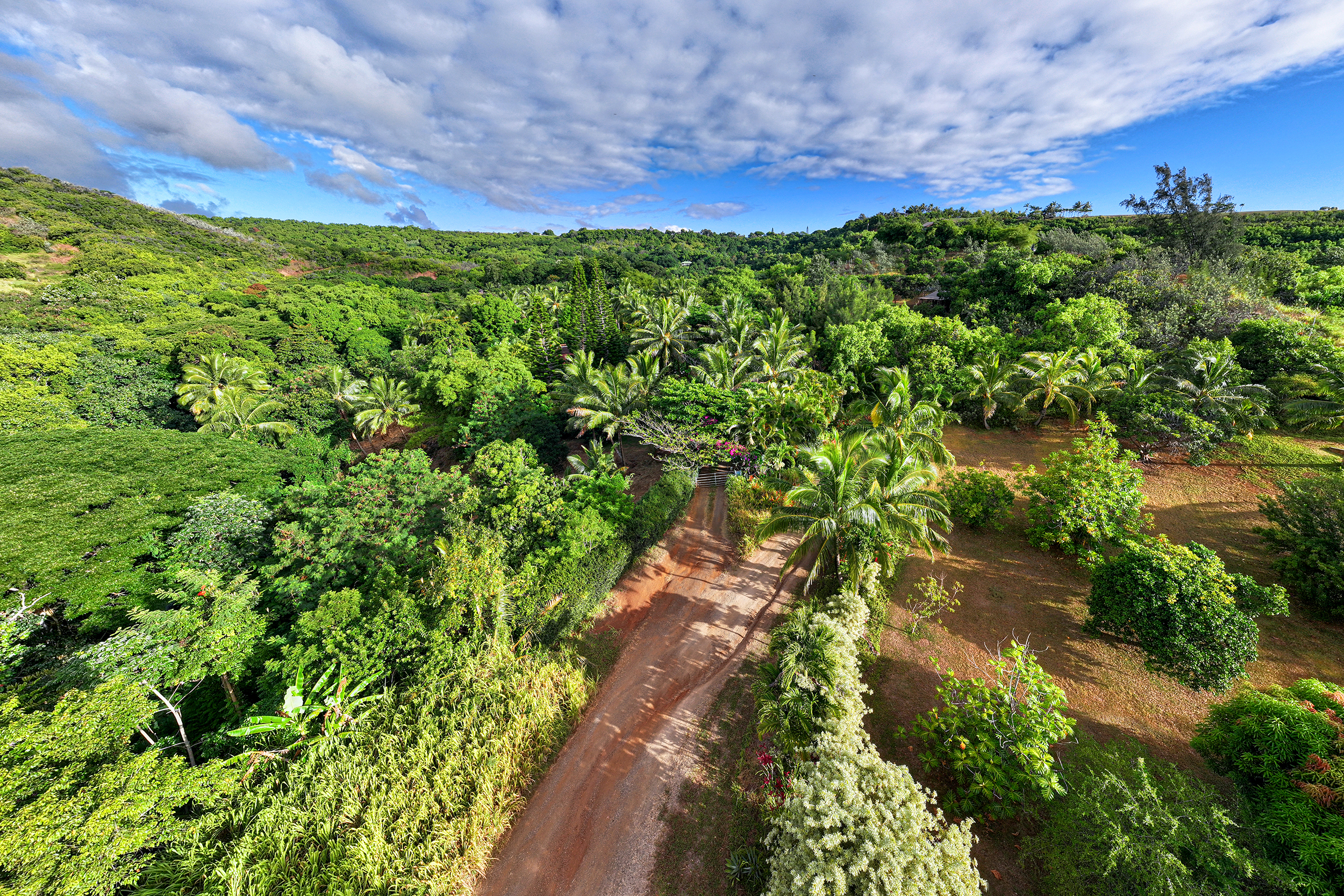 6565-c Koolau Rd Property Photo 8