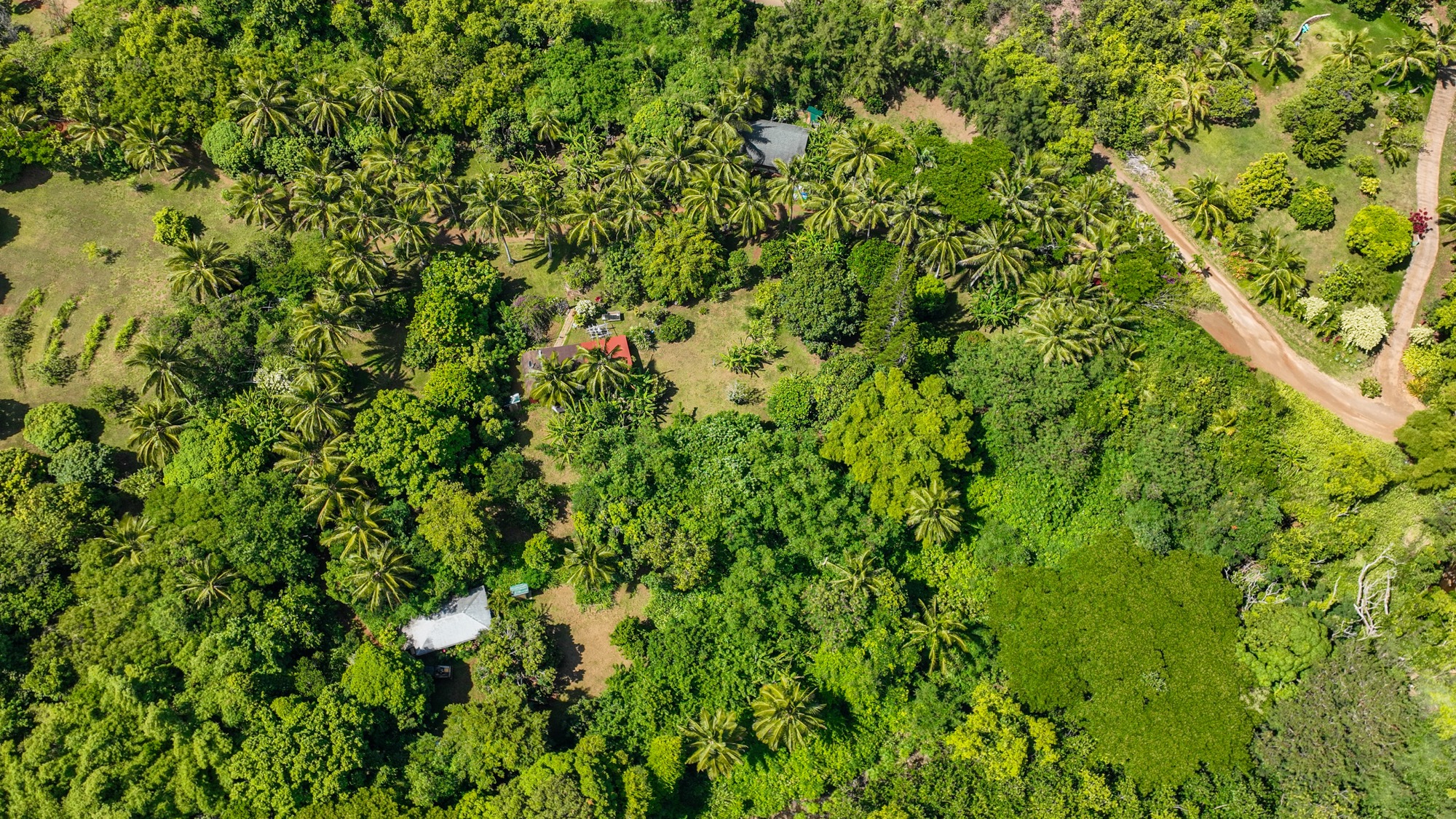 6565-c Koolau Rd Property Photo 9