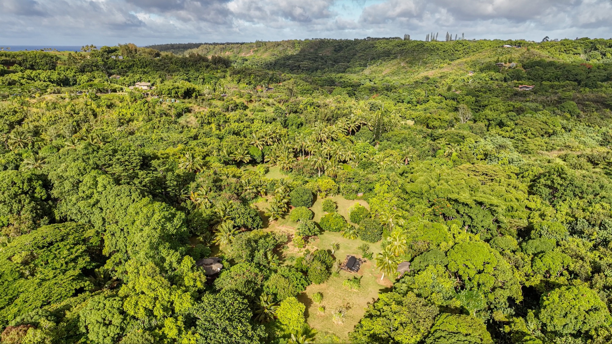 6565-c Koolau Rd Property Photo 11
