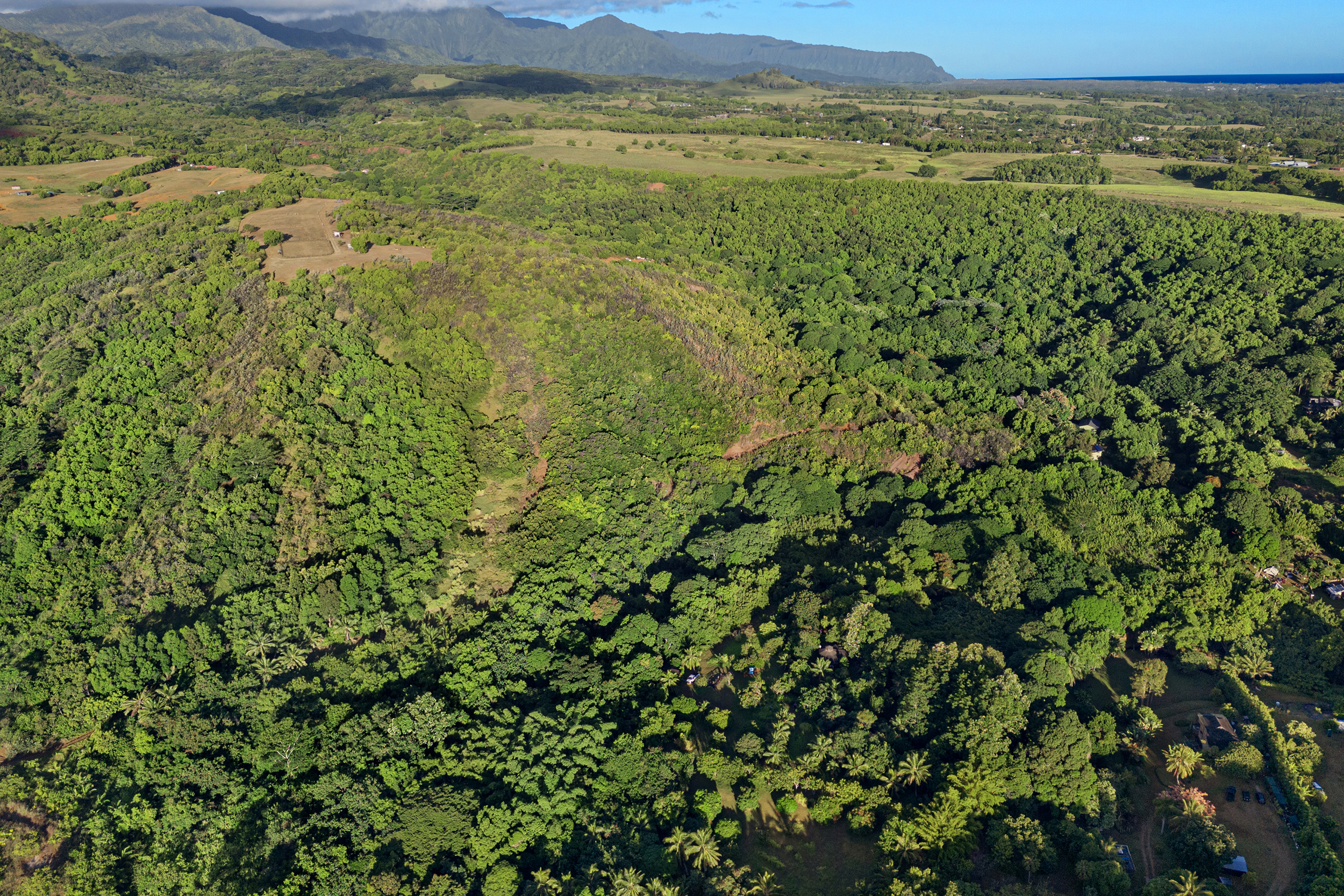 6565-c Koolau Rd Property Photo 13