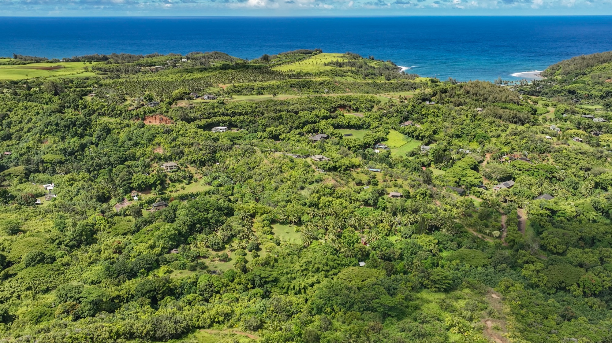 6565-c Koolau Rd Property Photo 14
