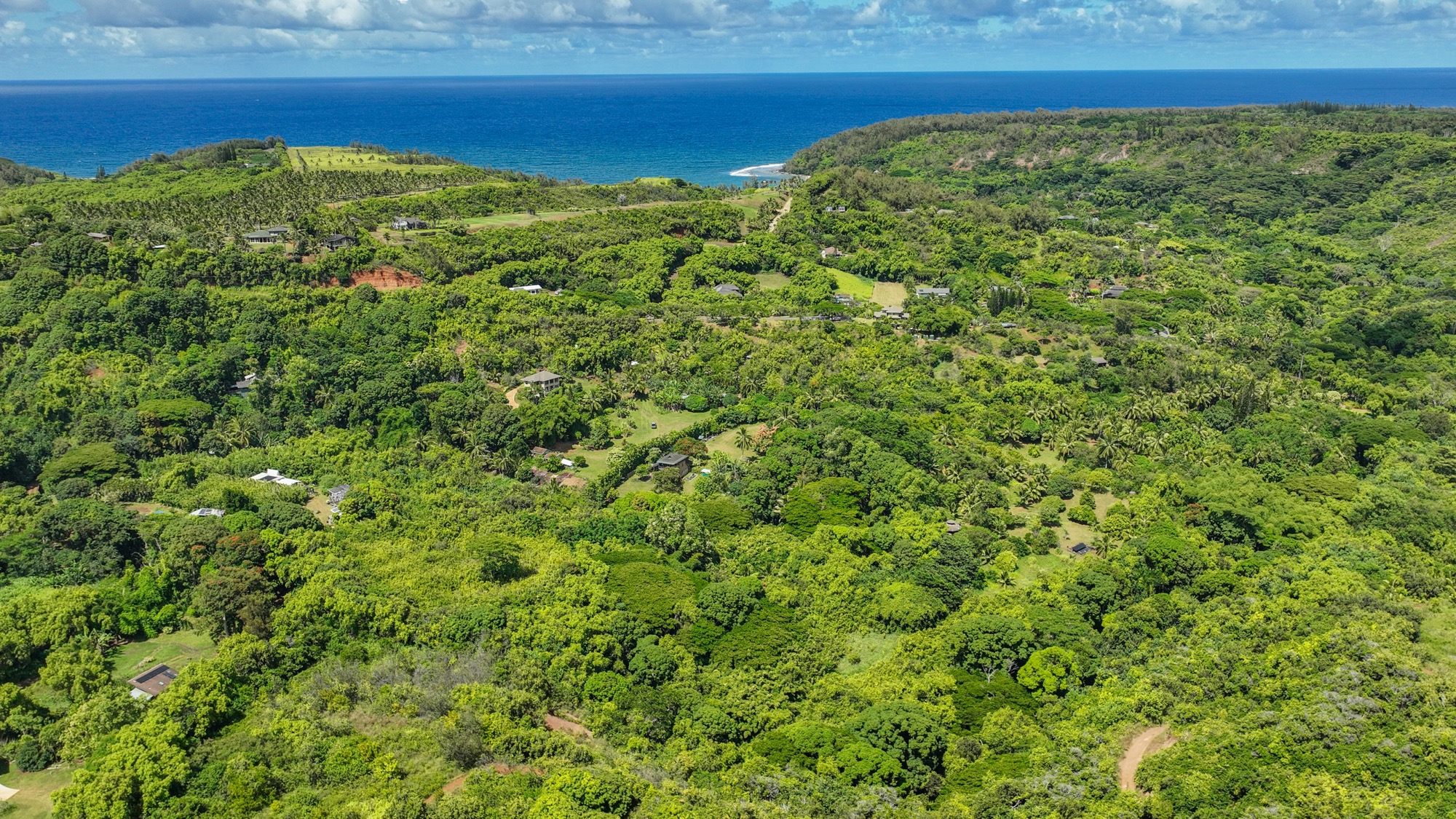 6565-c Koolau Rd Property Photo 16