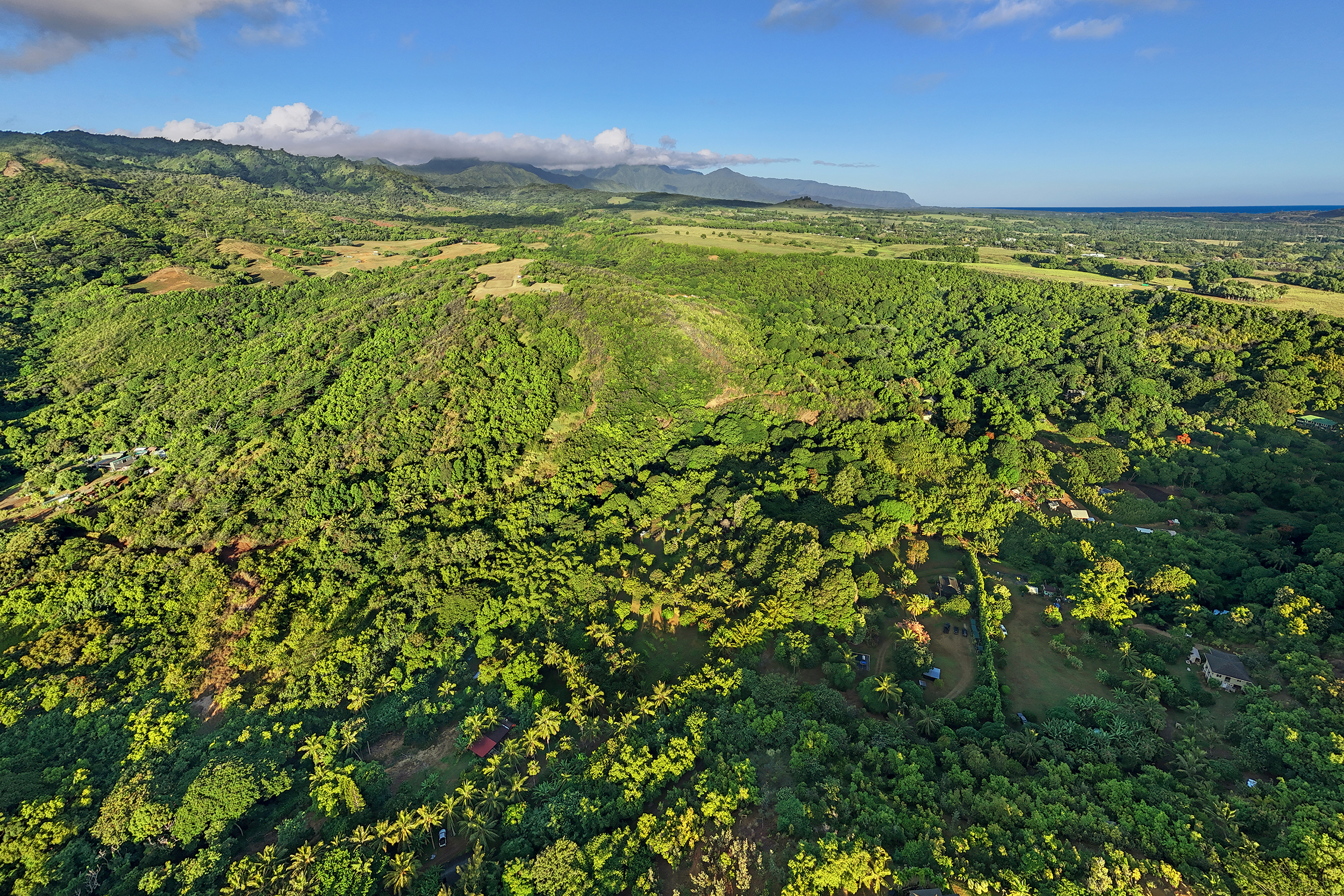 6565-c Koolau Rd Property Photo 18