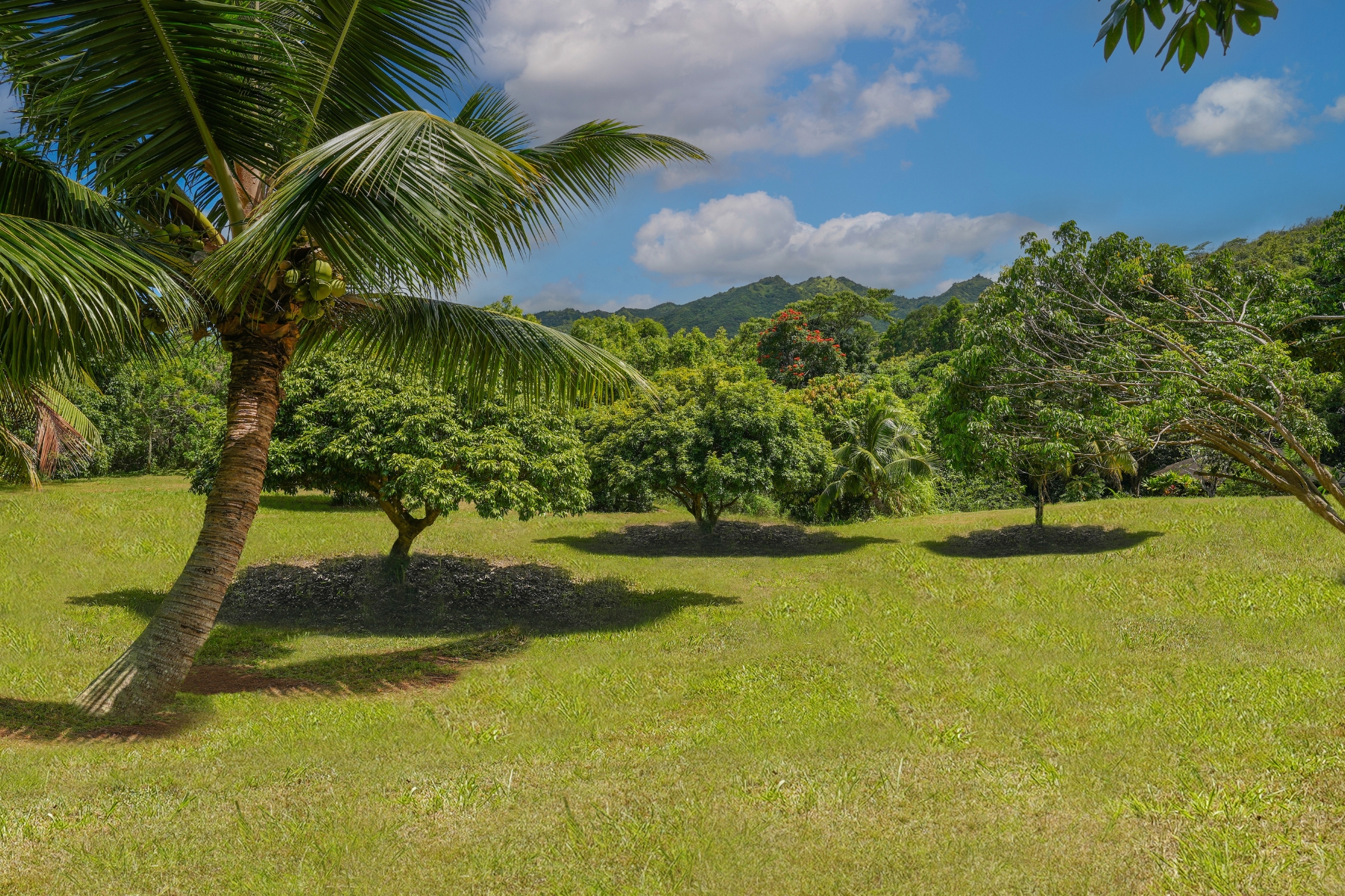 6565-c Koolau Rd Property Photo 20